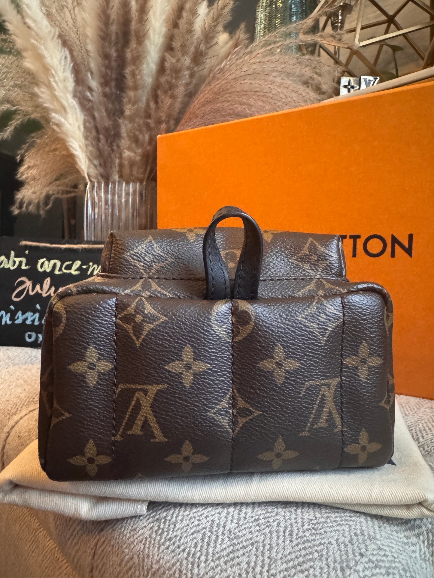 Louis Vuitton Mini Palm Springs-New Model with exposed zip Microchipped