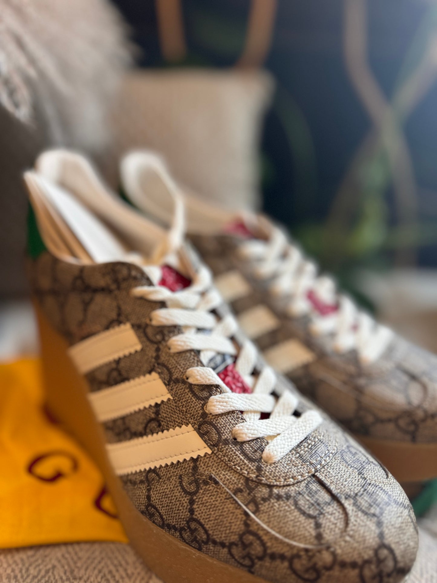 Gucci x Adidas, Brand New size39