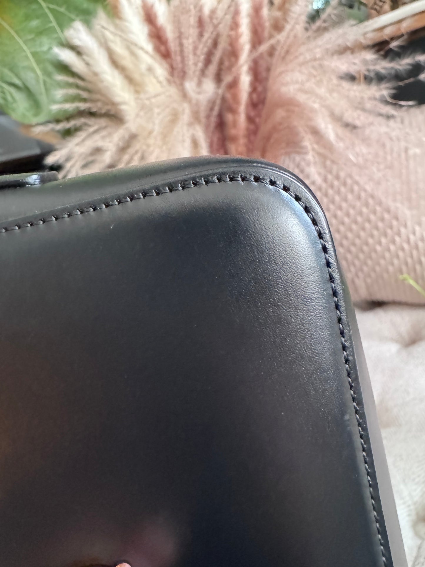 Celine Triomphe 16cm