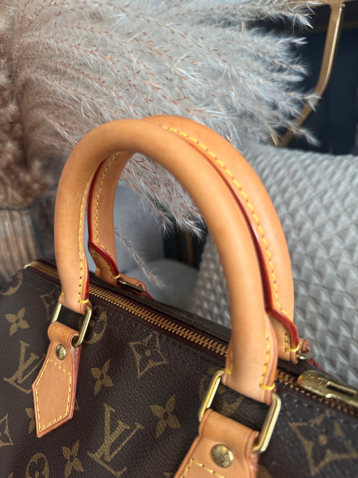 Louis Vuitton Speedy B 25 in monogram