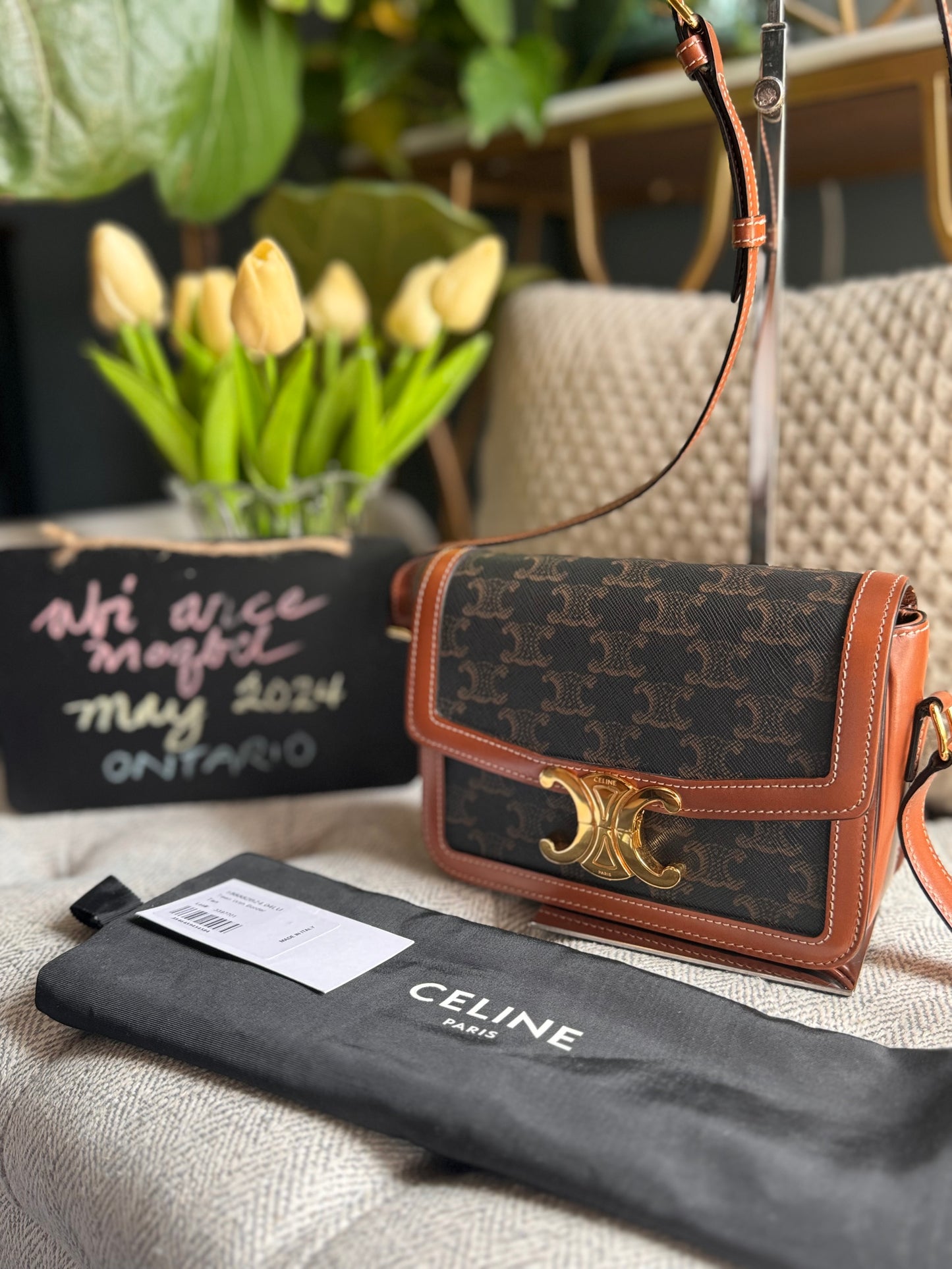 Celine Teen Triomphe