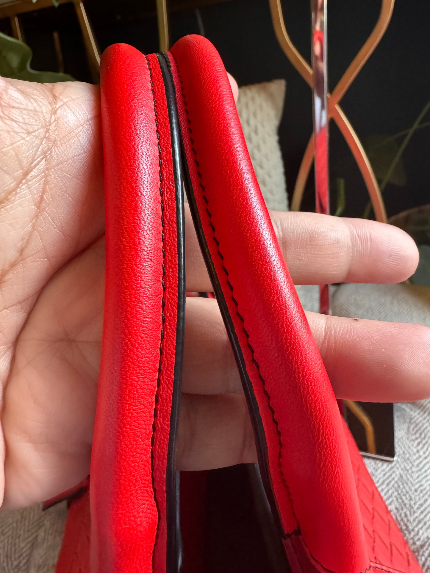 Bottega Veneta Monaco Bag