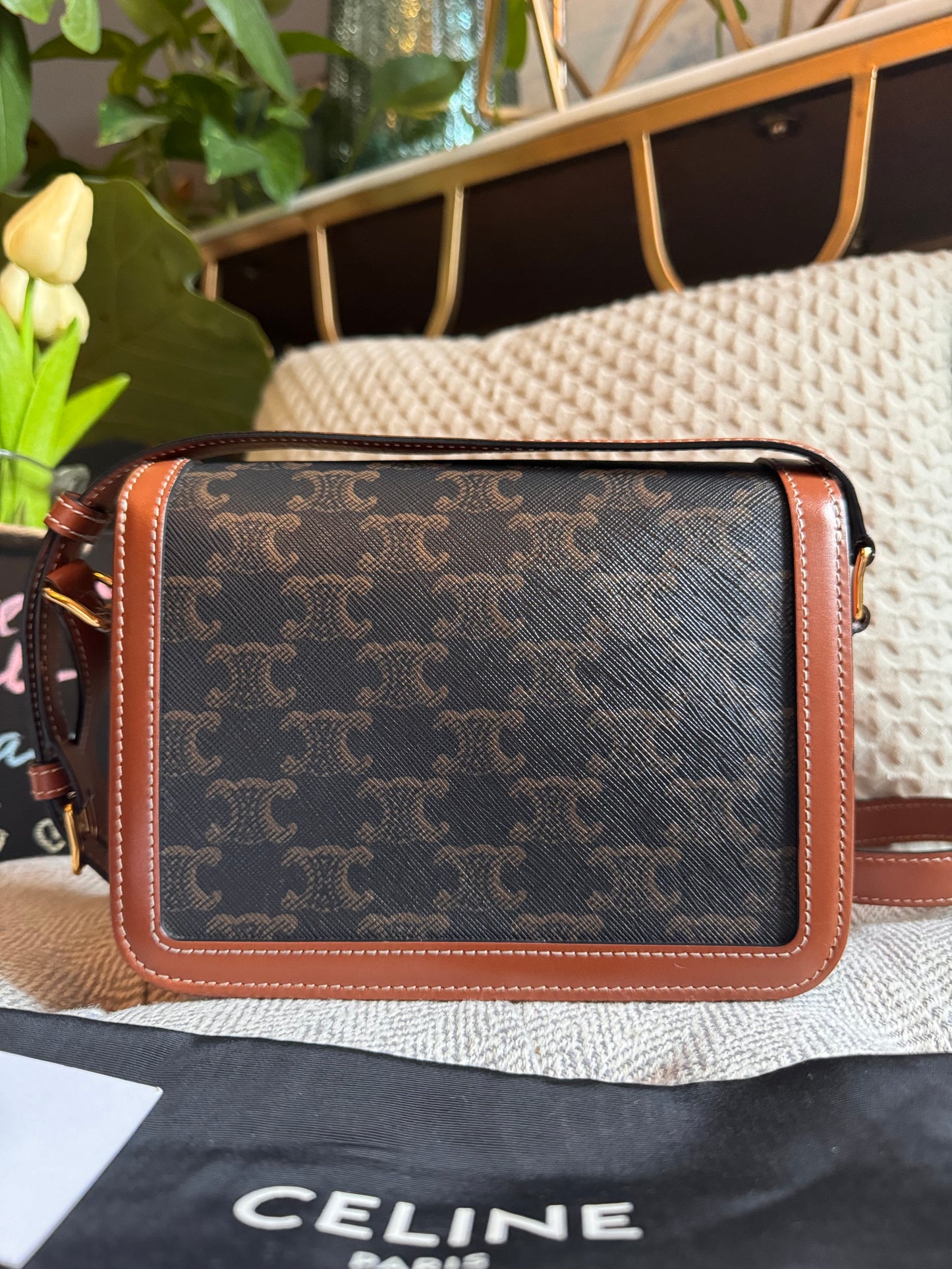 Celine Teen Triomphe