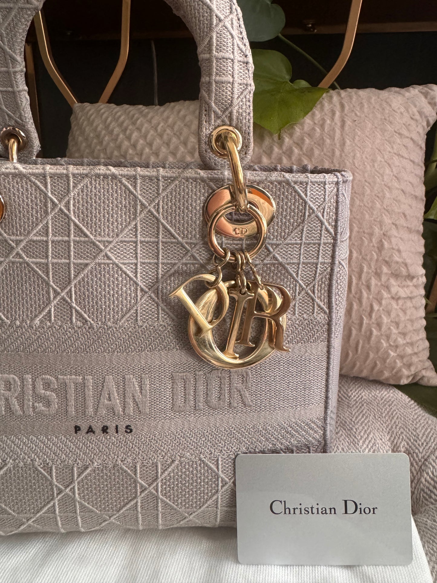 Christian Dior LADY D-LITE Medium Bag in Cool Grey Cannage Embroidery