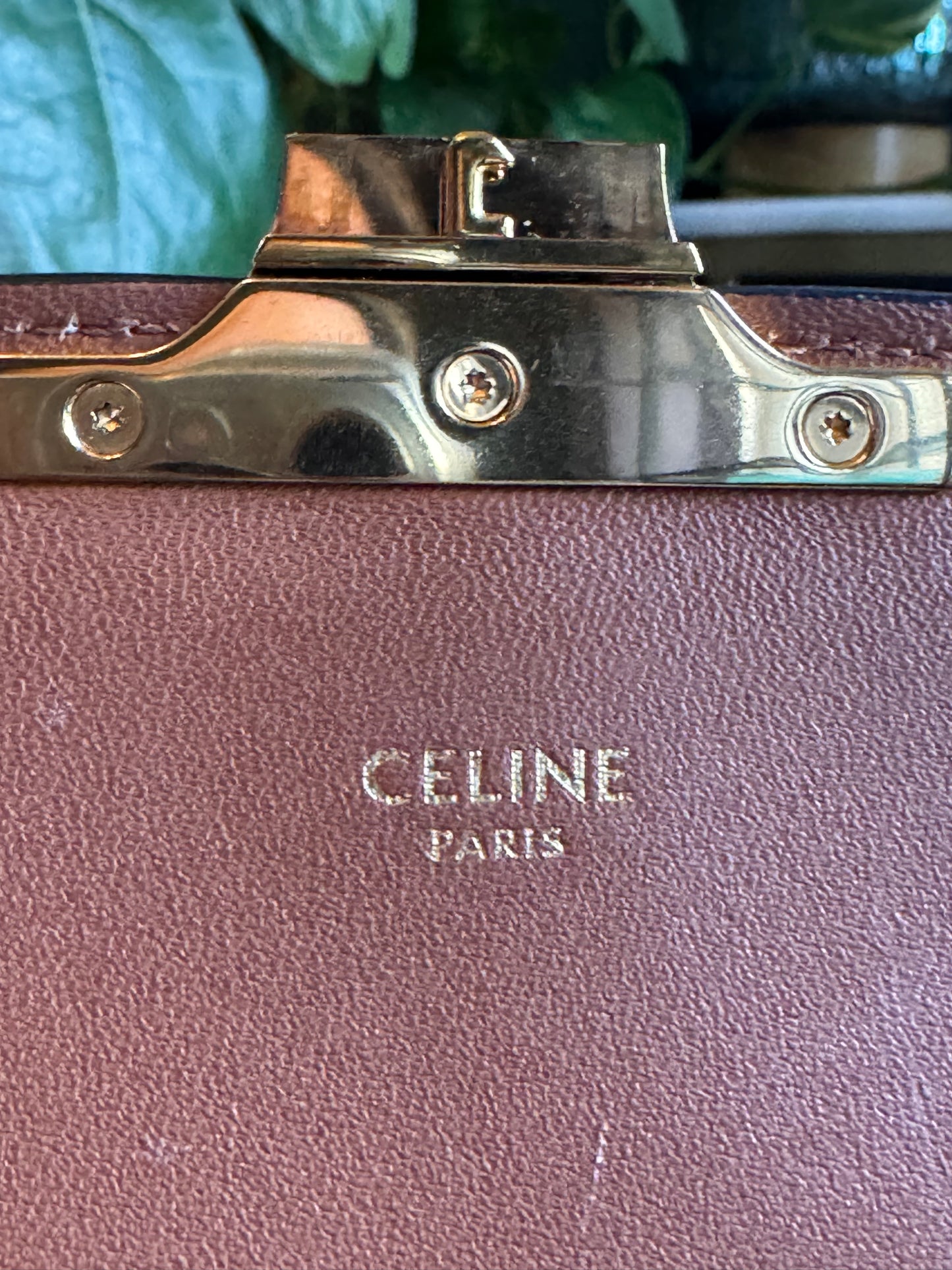 Celine Teen Triomphe