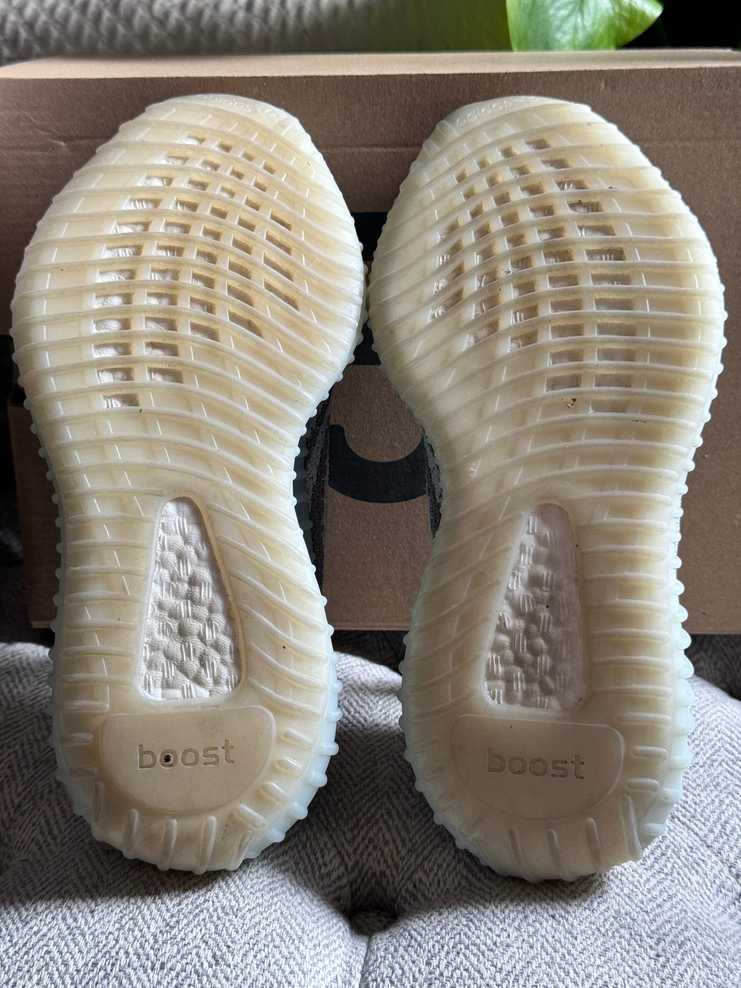 Adidas Yeezy Boost 350v V2