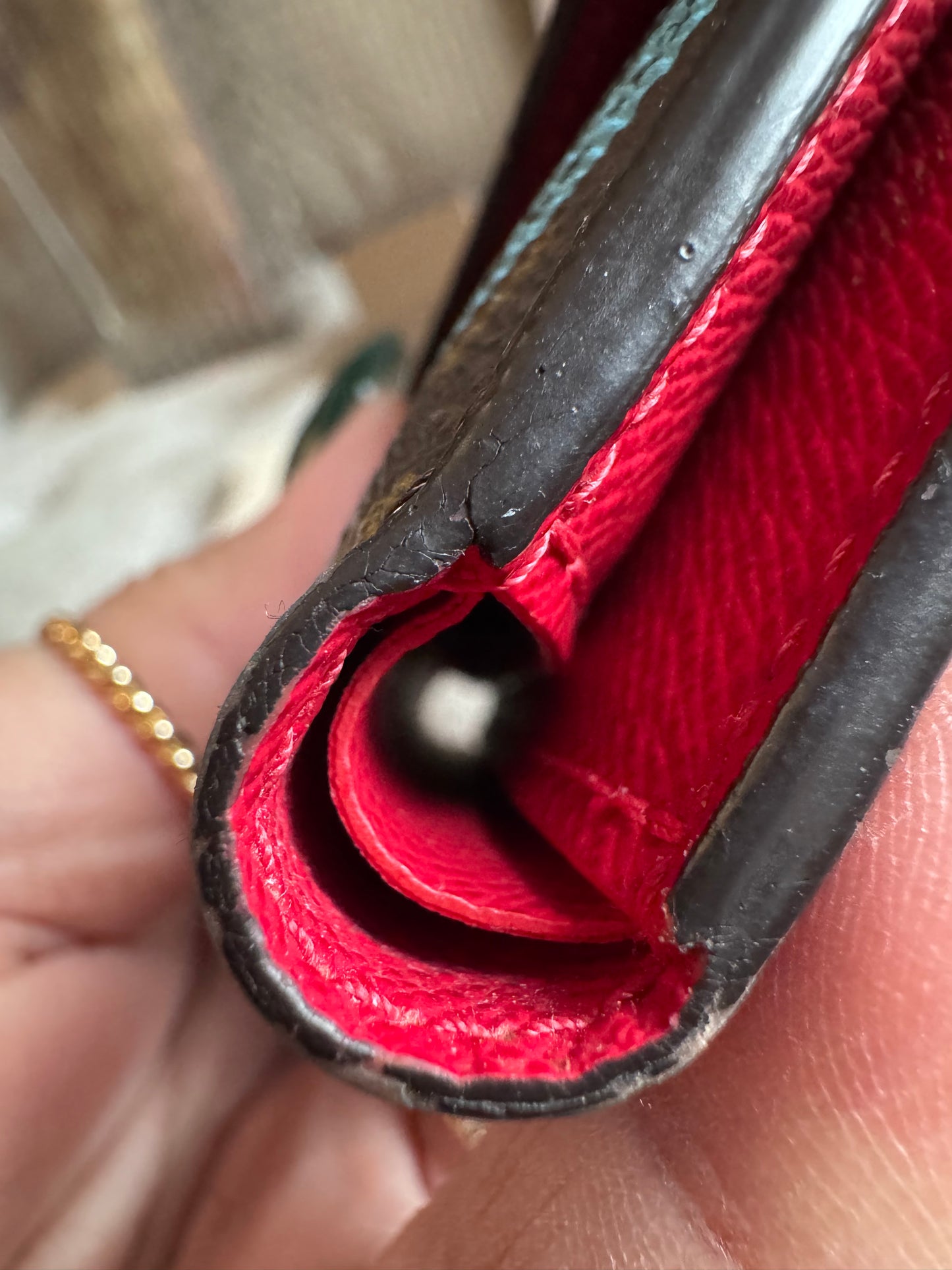 Louis Vuitton World Tour Victorine Wallet