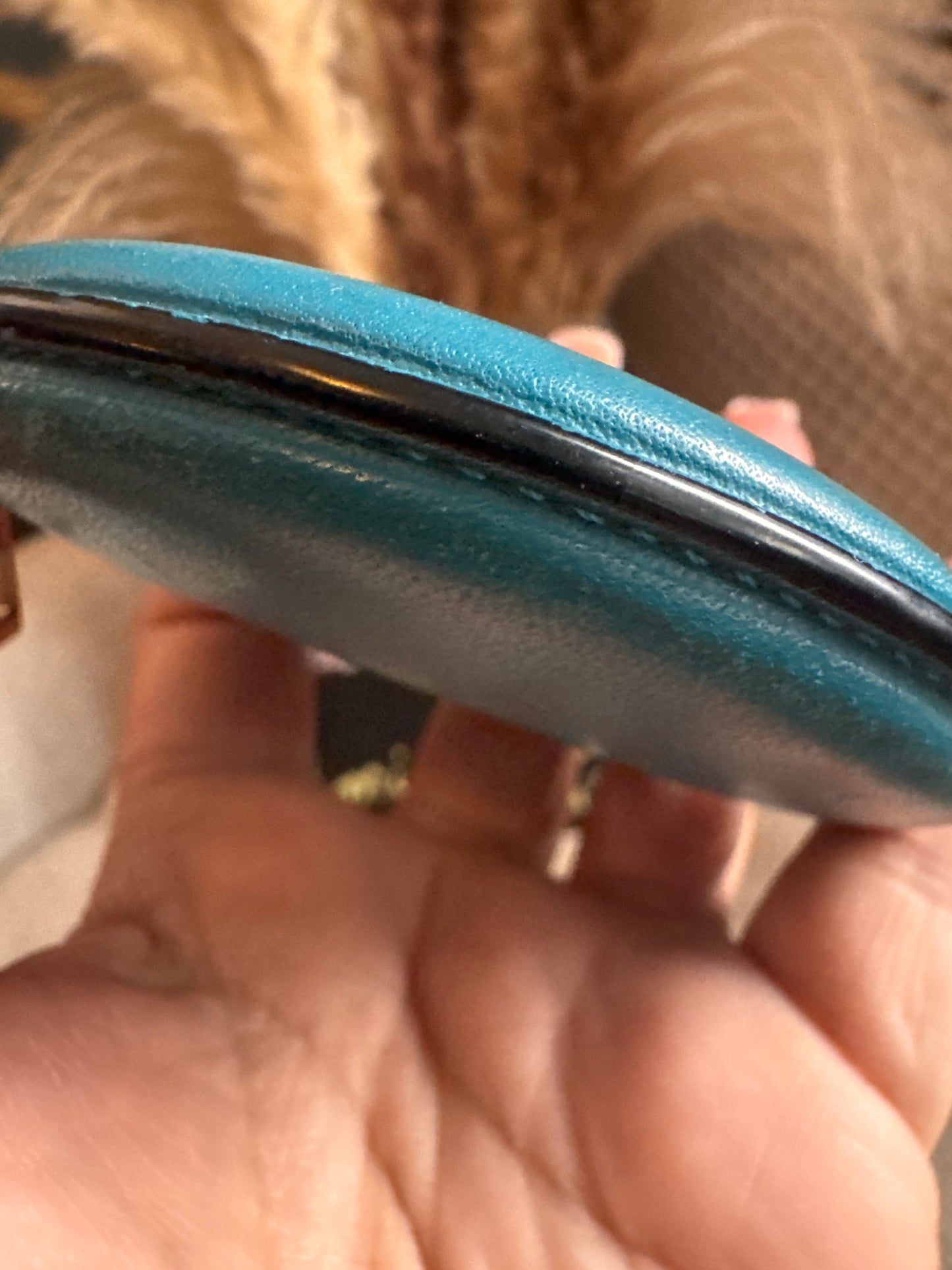 Loewe Leather Round Coin Purse