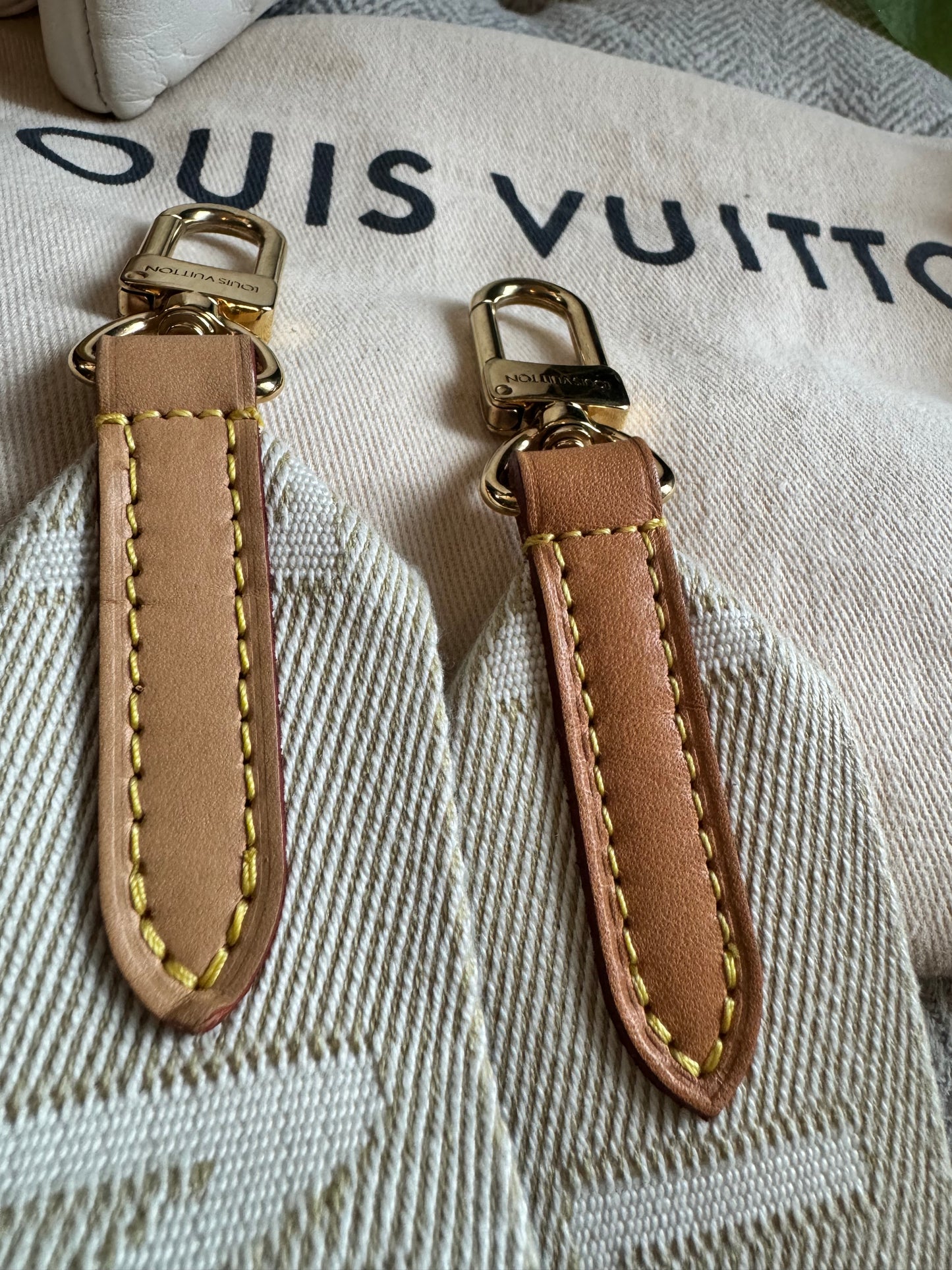 Louis Vuitton Coussin PM