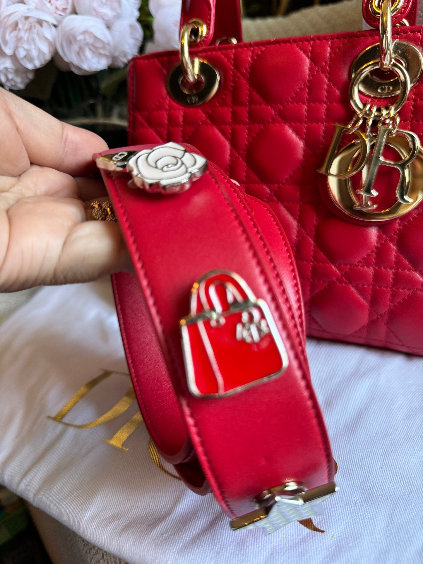 Dior Small Lady Dior My ABC bag