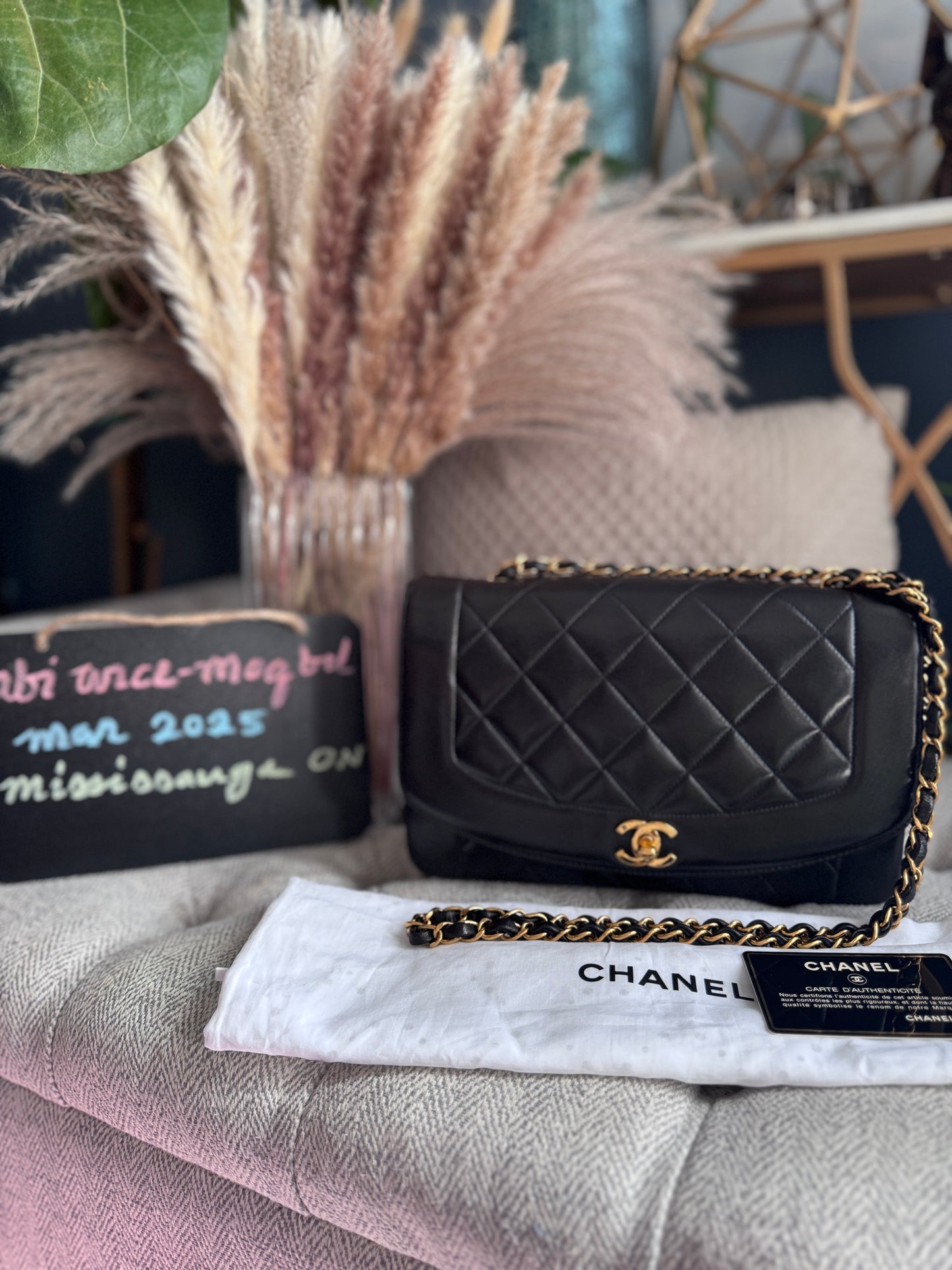 Chanel Vintage Medium Diana