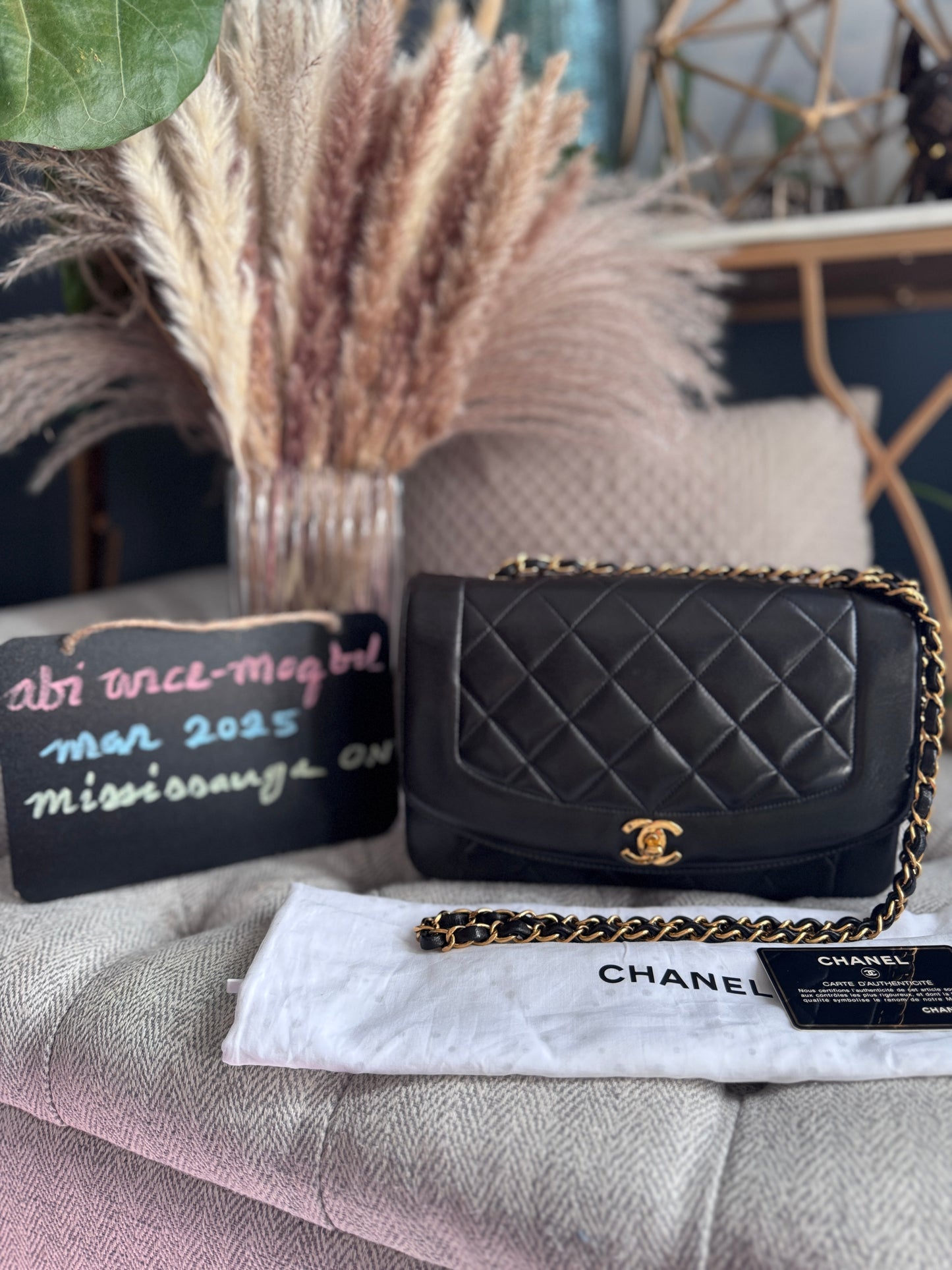 Chanel Vintage Medium Diana