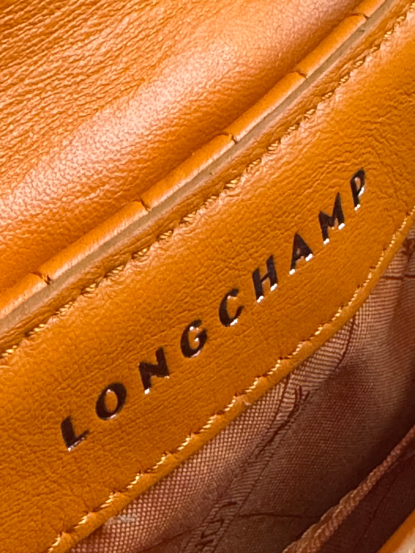 Longchamp Amazone