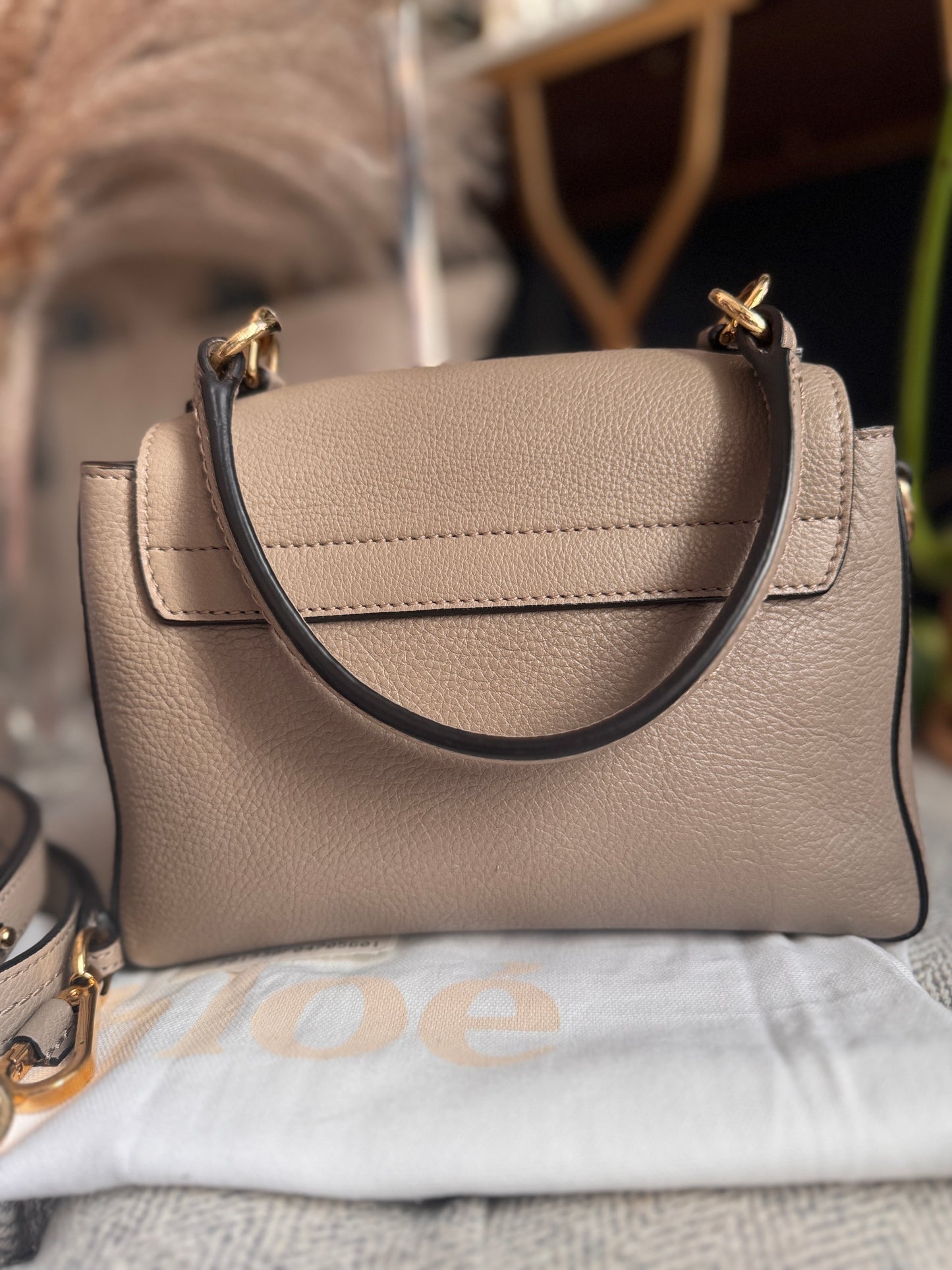 Chloe Mini Faye Crossbody is