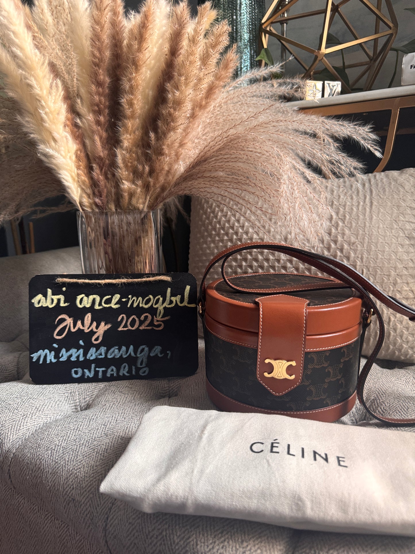 Celine Calfskin Triomphe Canvas Medium Tambour Bag