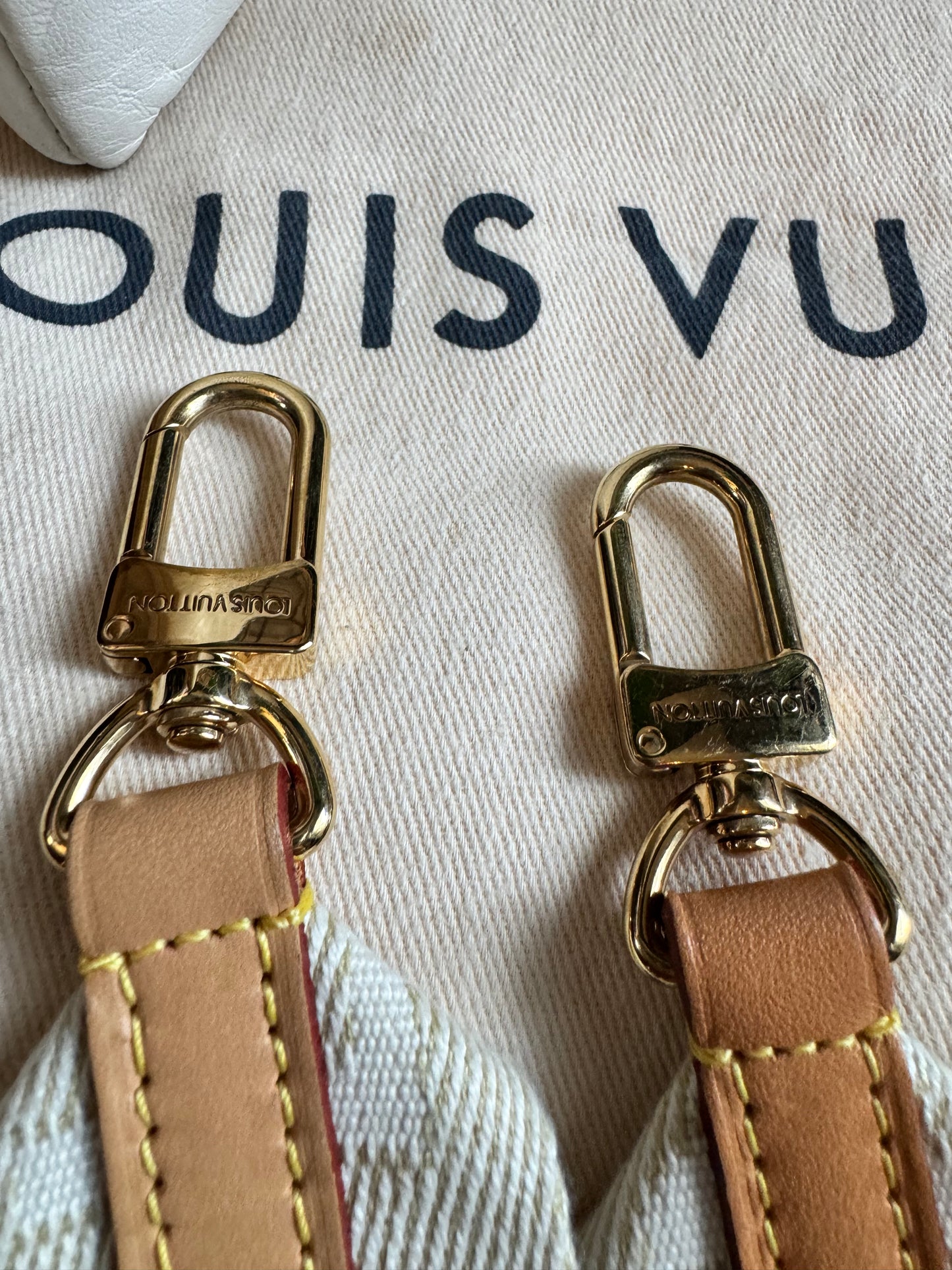 Louis Vuitton Coussin PM