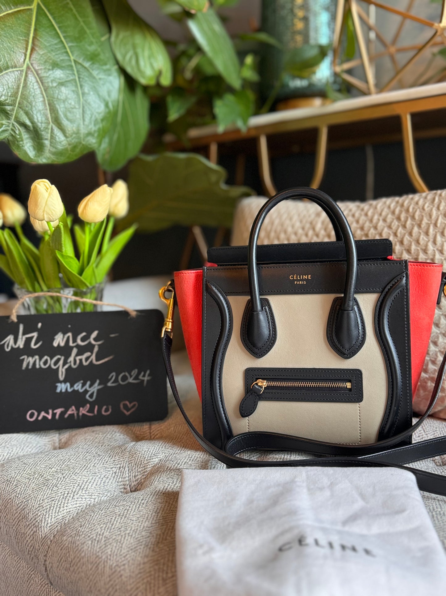 Celine Nano Luggage in TriColour