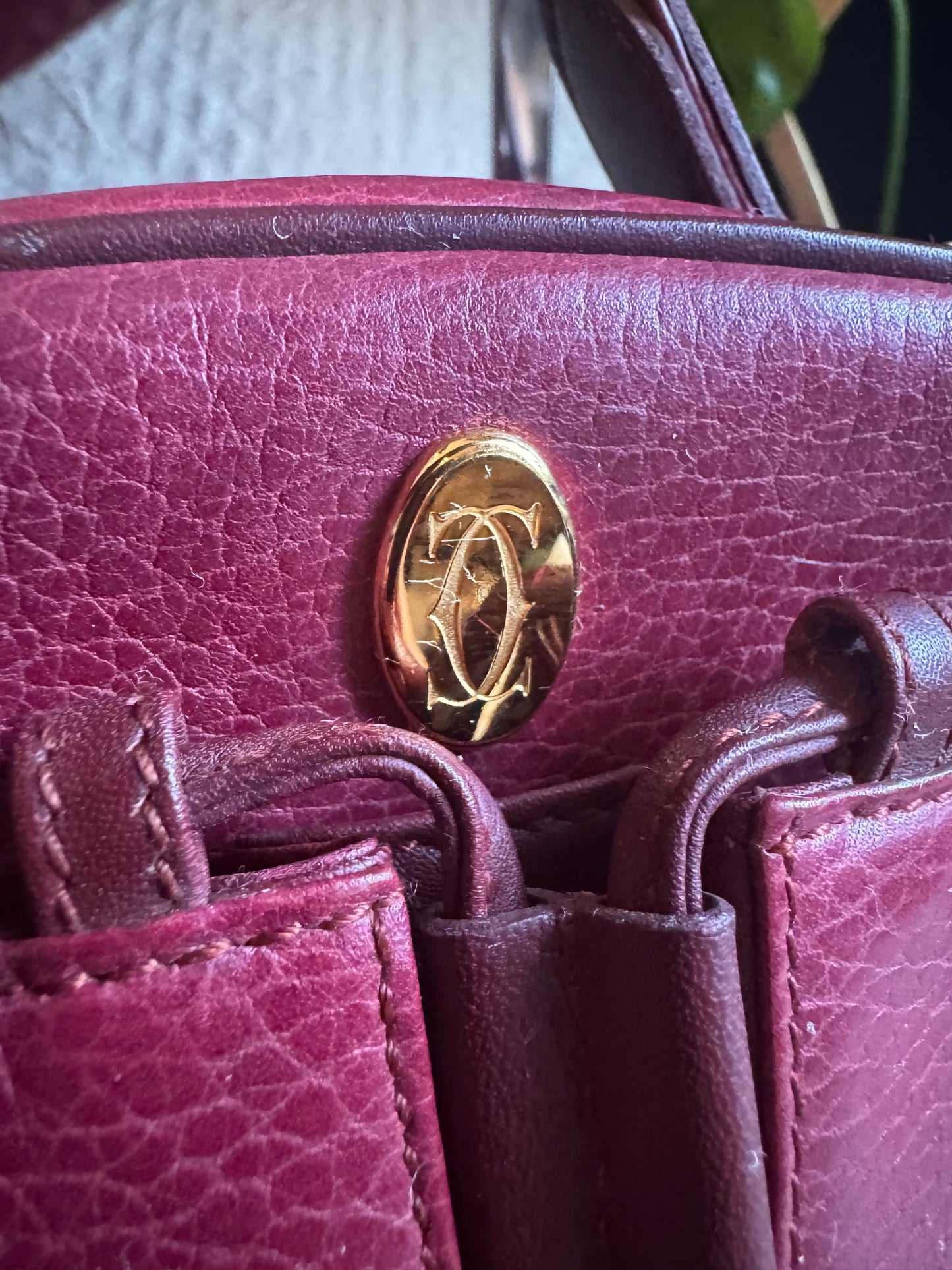 Cartier Vintage Camera Bag