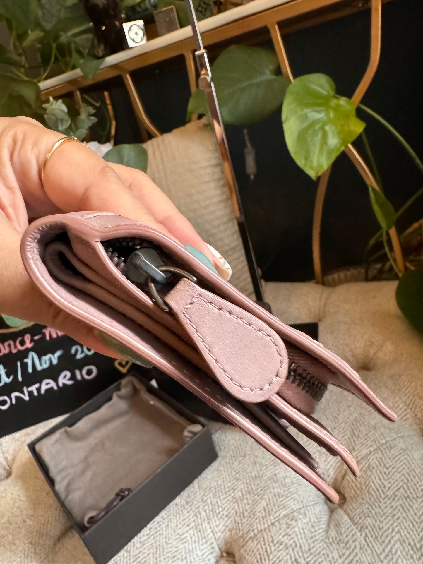 Bottega Veneta Compact Wallet in blush