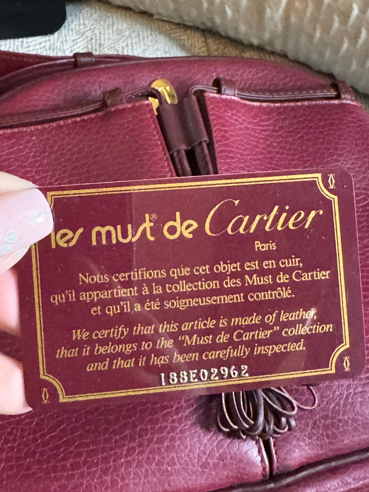Cartier Vintage Camera Bag
