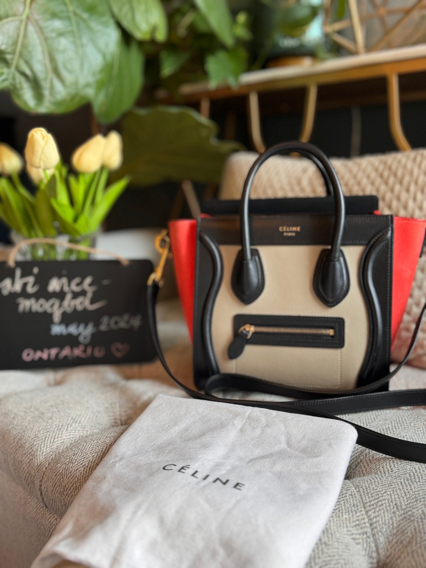 Celine Nano Luggage in TriColour