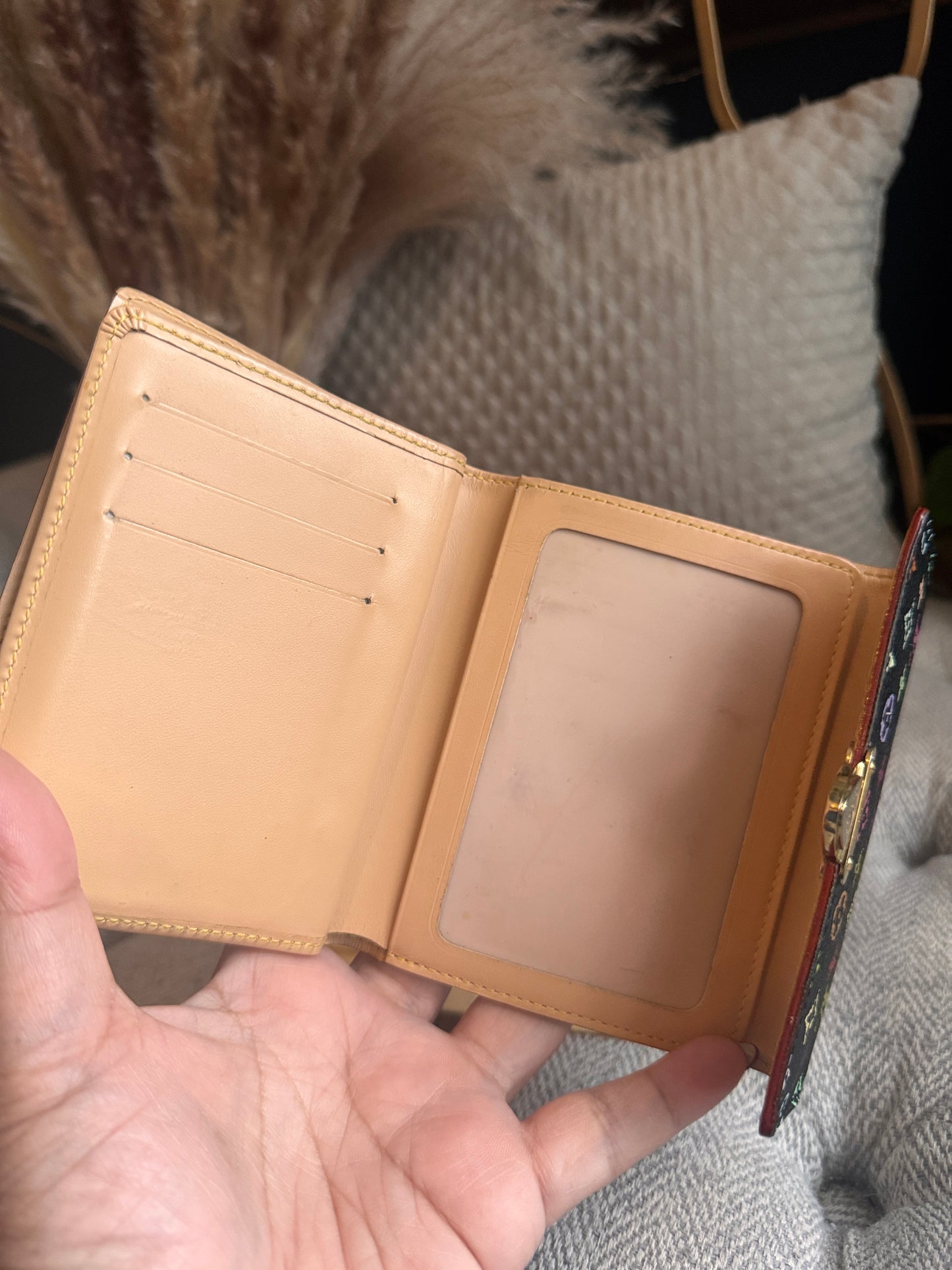 Louis Vuitton Multicolor Compact Wallet