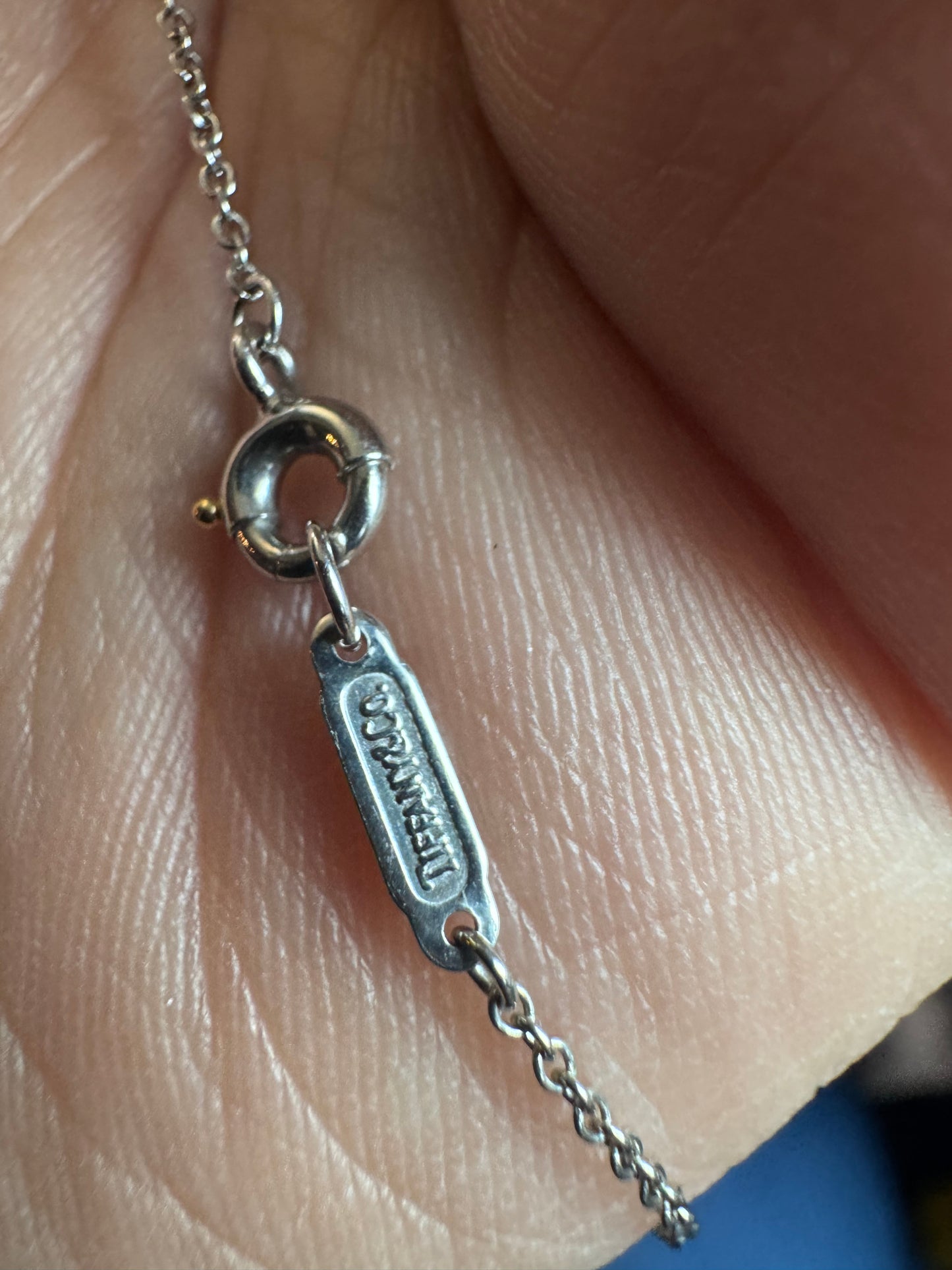 Tiffany&Co Platinum Solitaire Necklace