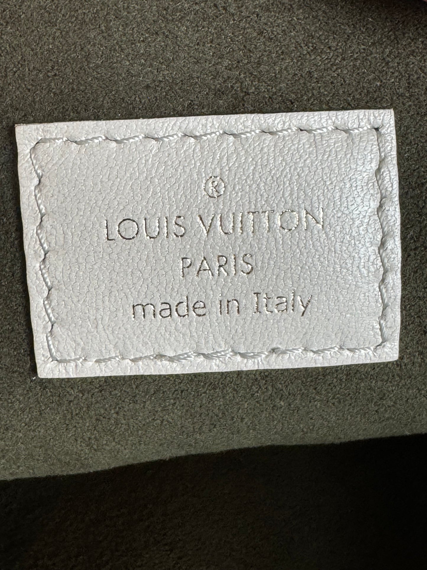 Louis Vuitton Coussin PM