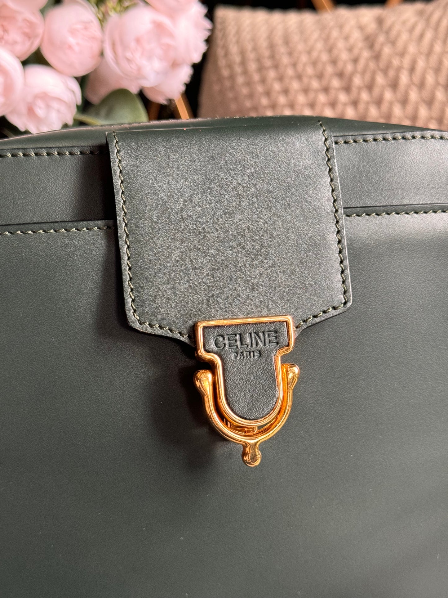 Celine Vintage Camera Bag in Amazone