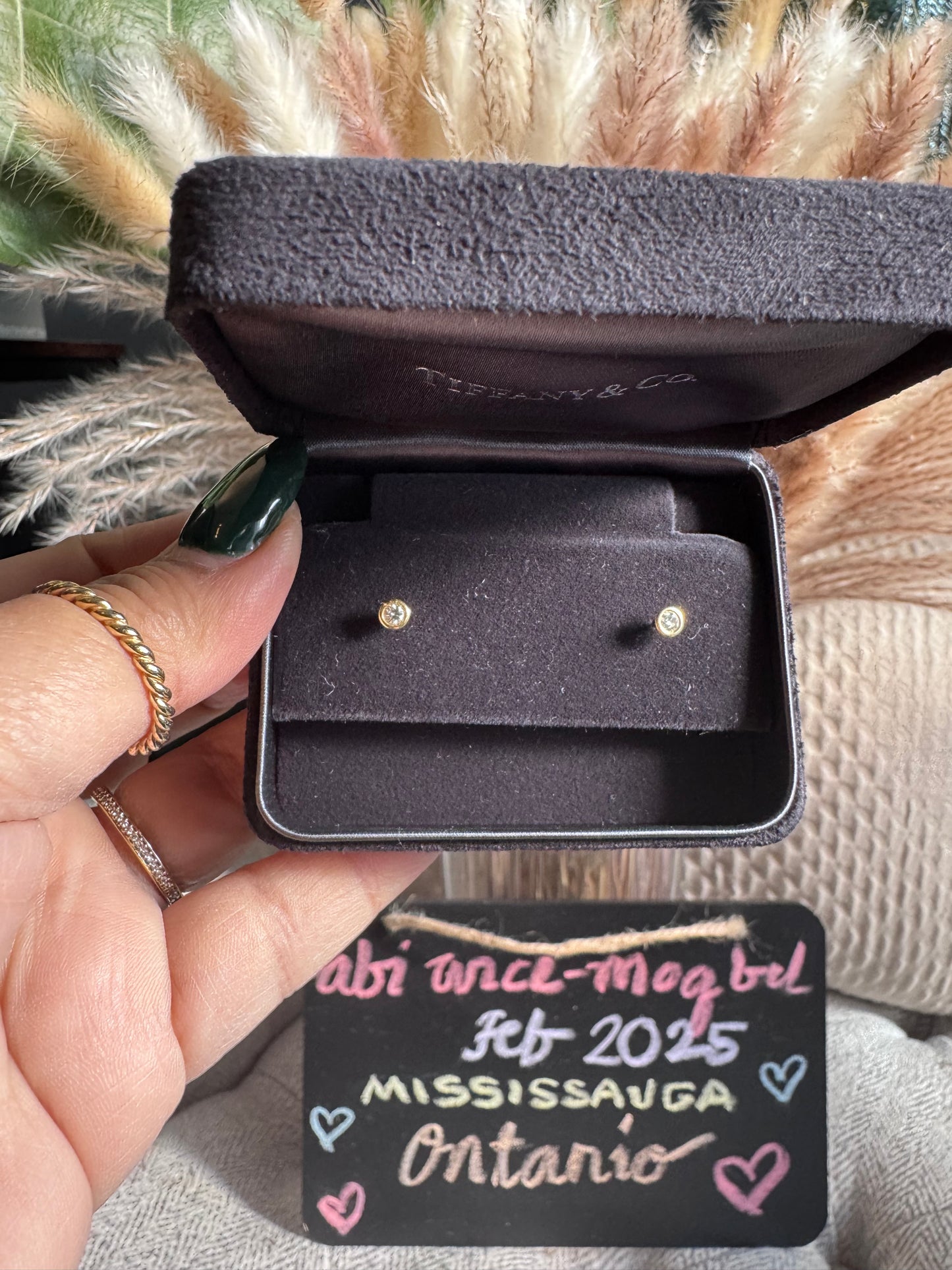 Tiffany&Co 18k Elsa Peretti Diamond by the Yard Earrings