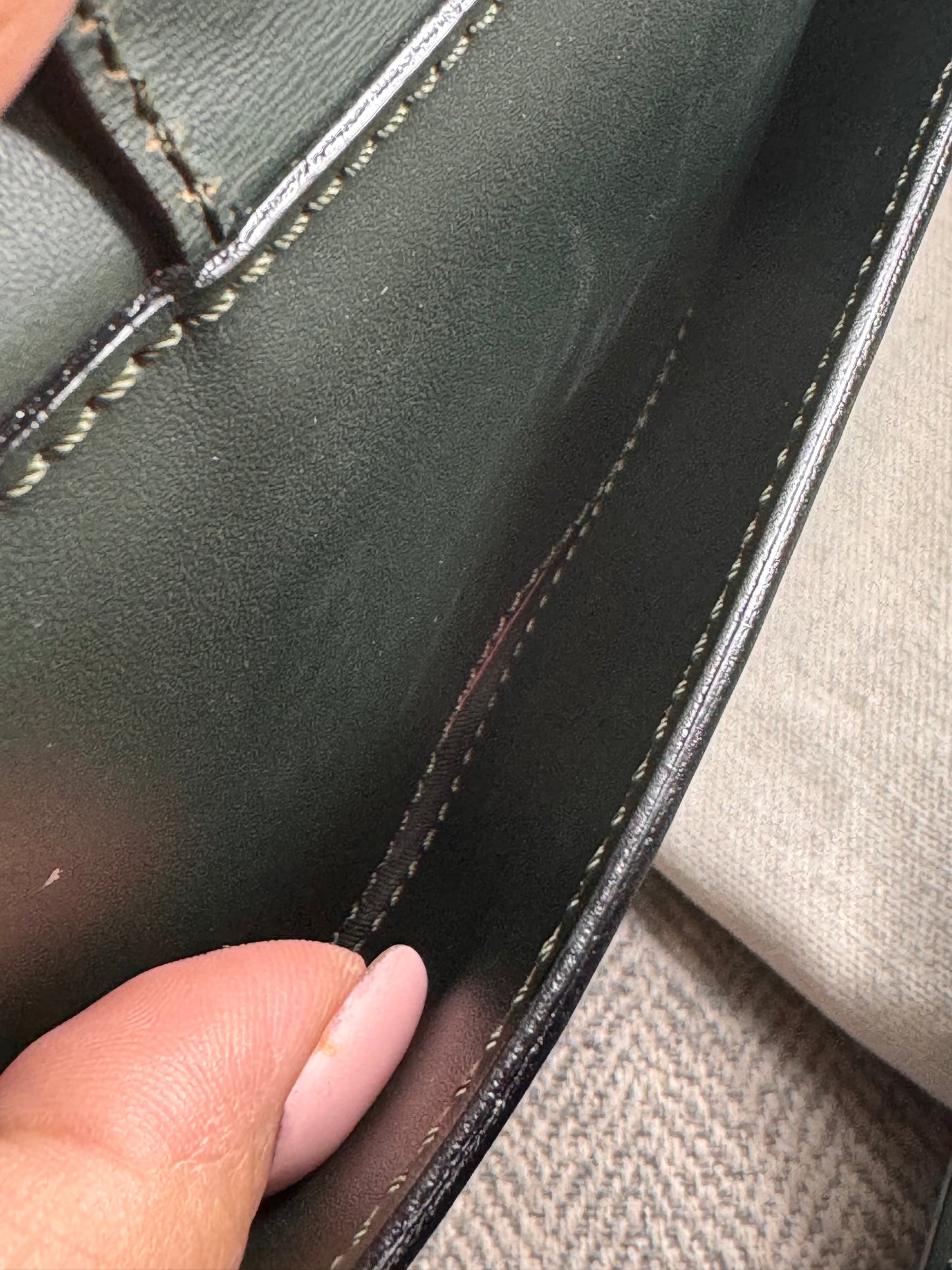 Celine Vintage Camera Bag in Amazone