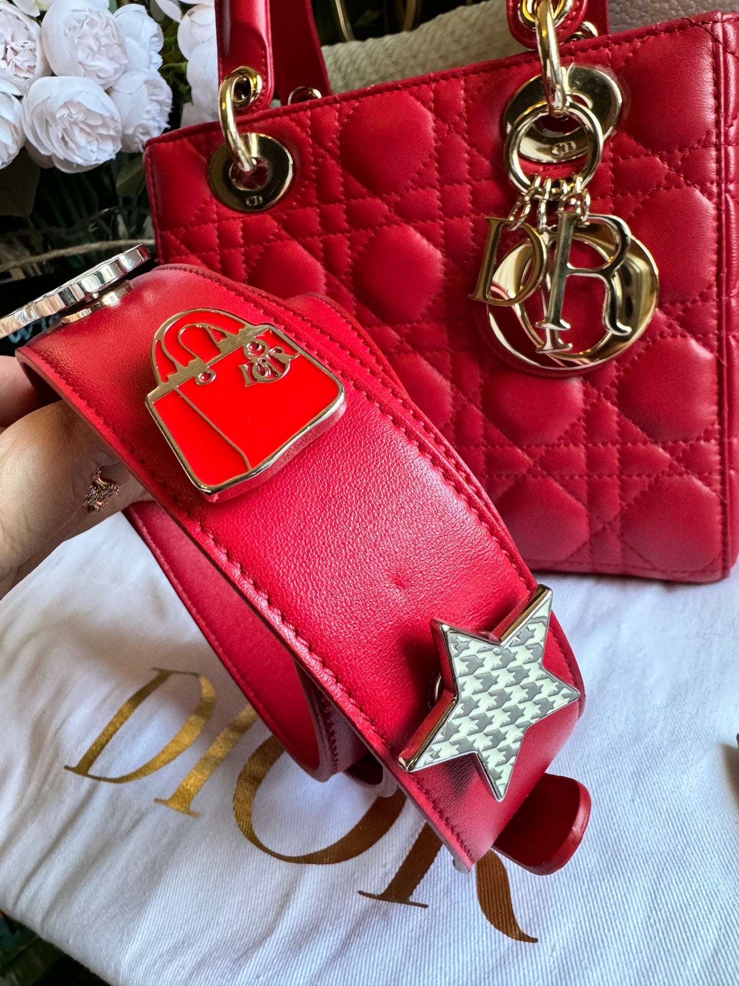 Dior Small Lady Dior My ABC bag