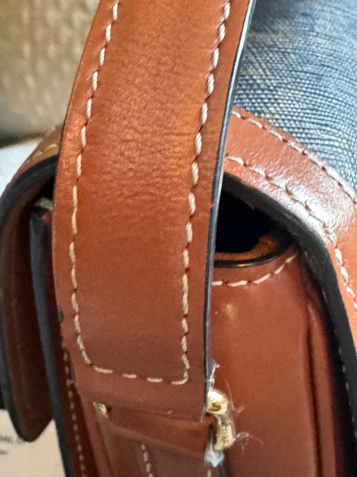 Celine Teen Triomphe