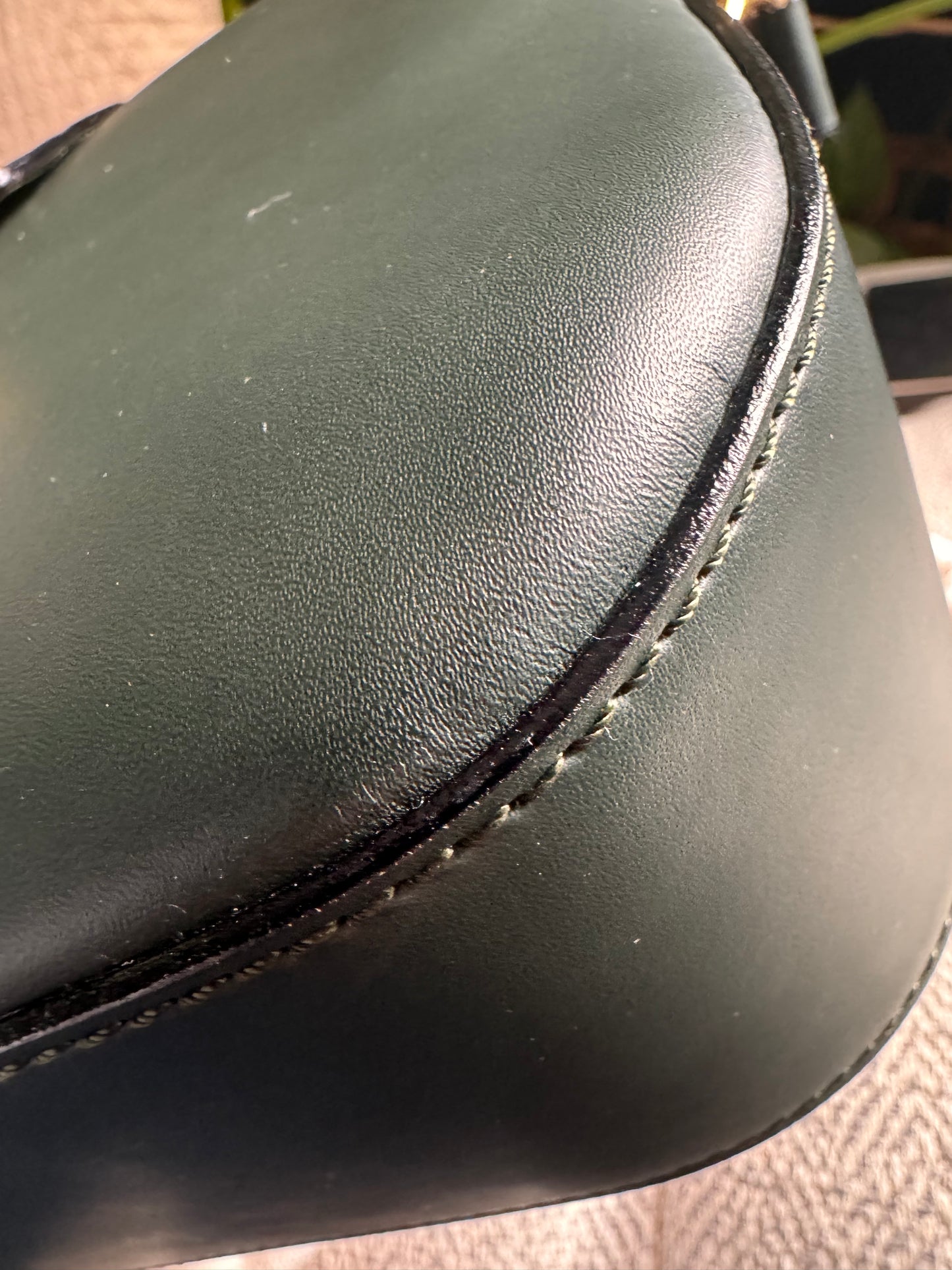 Celine Vintage Camera Bag in Amazone