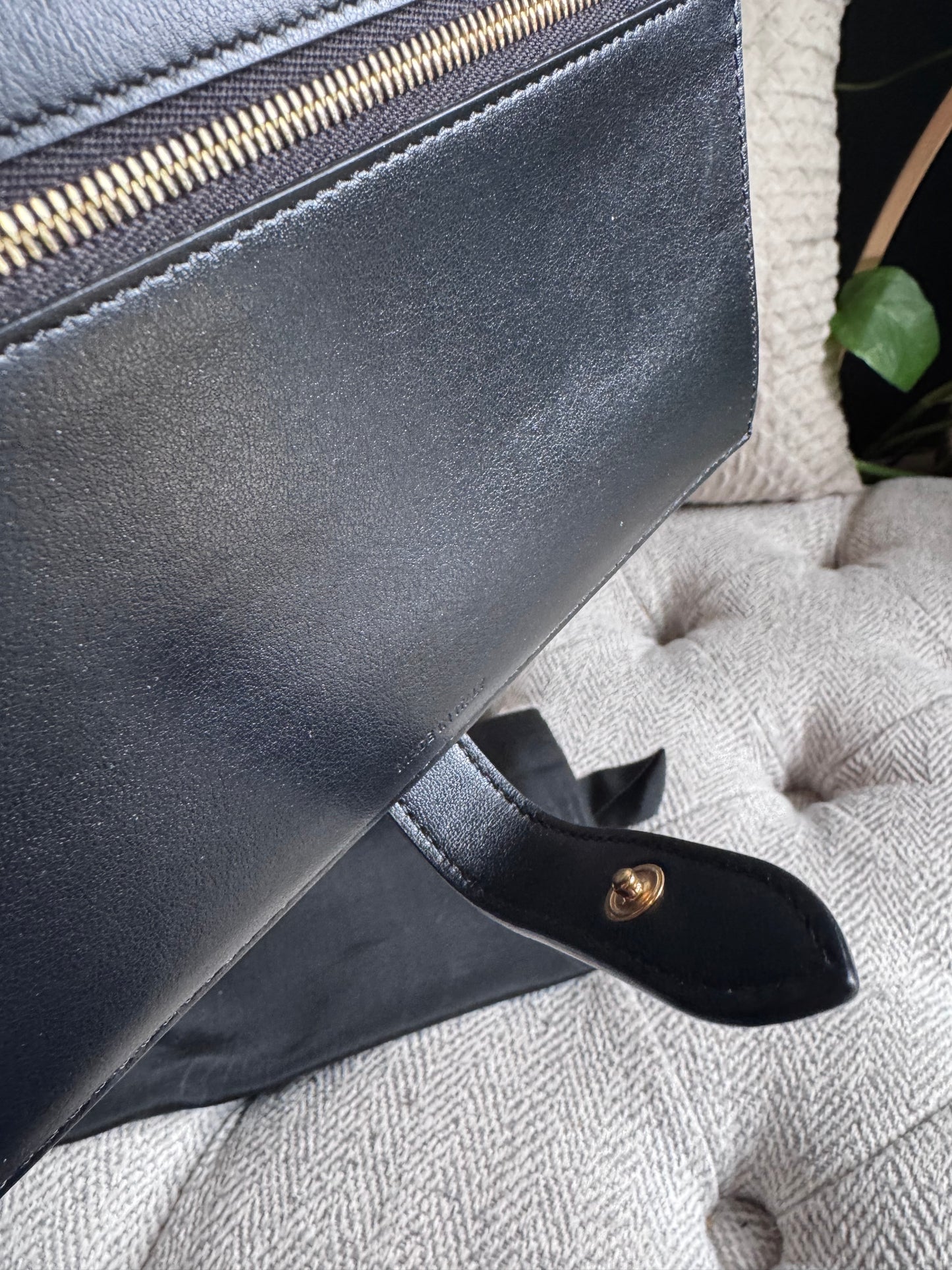 CELINE Large Wallet in Lizard Embossed Calfskin