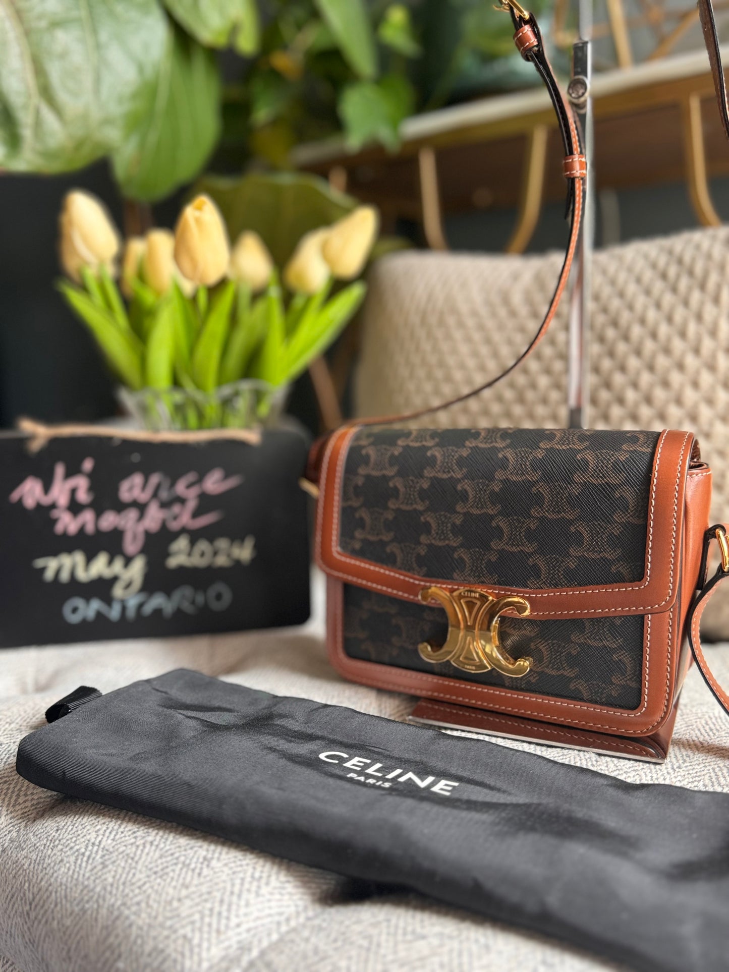 Celine Teen Triomphe
