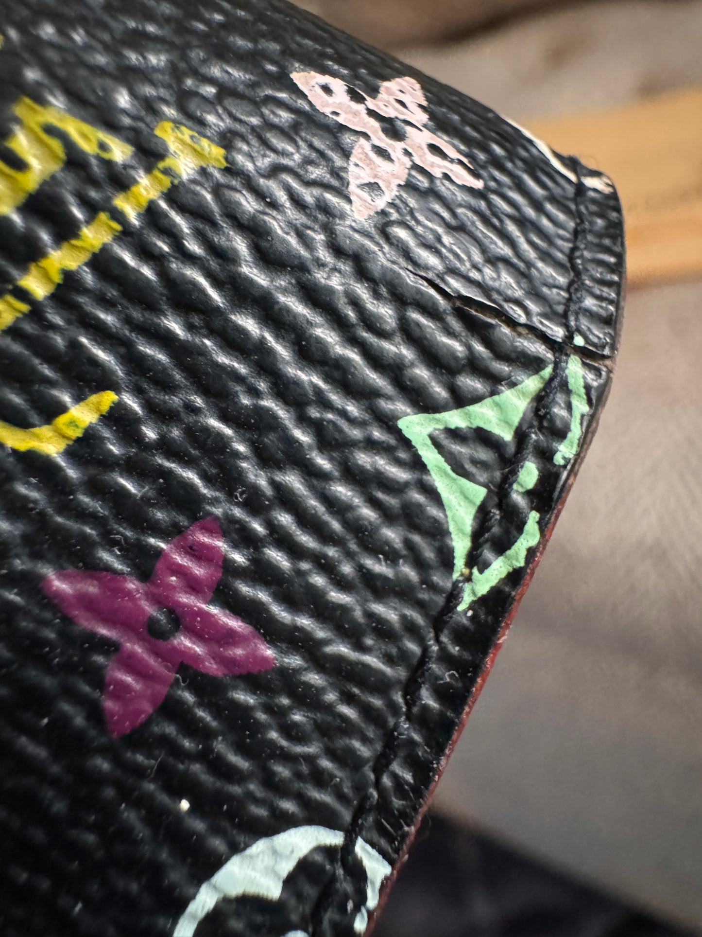Louis Vuitton Multicolor Compact Wallet
