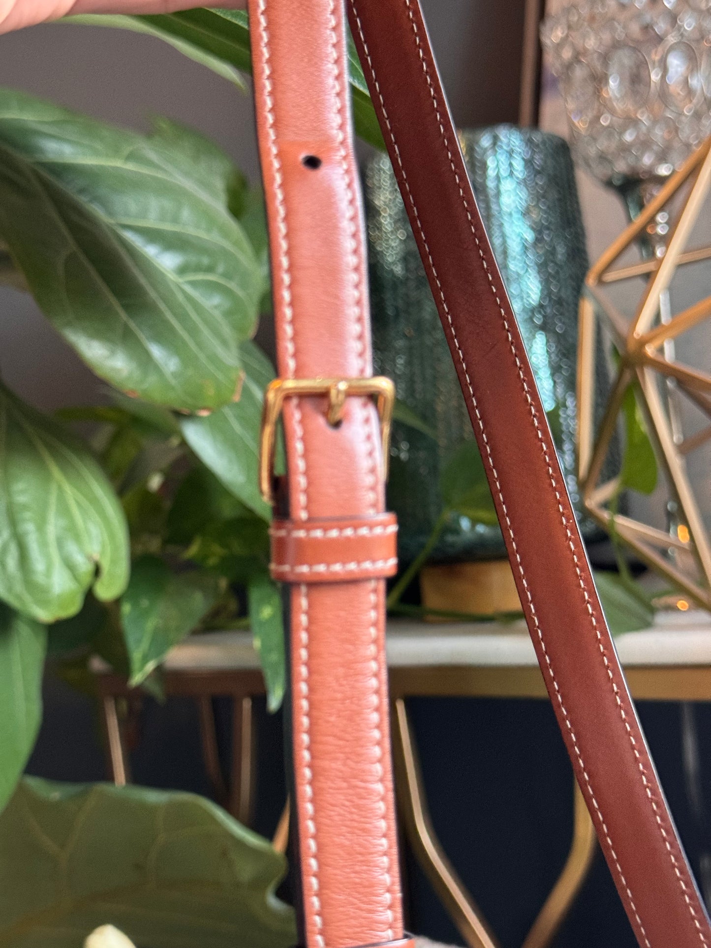Celine Teen Triomphe