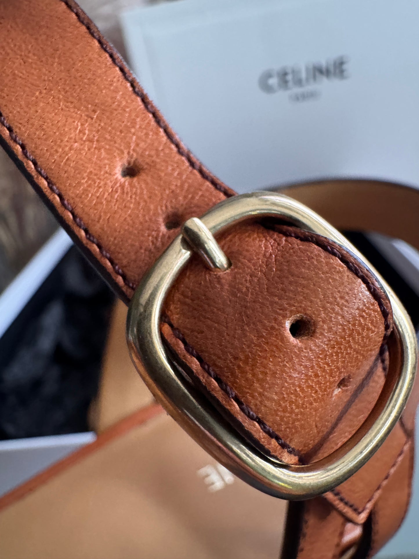 Celine Platform Leather Wedges