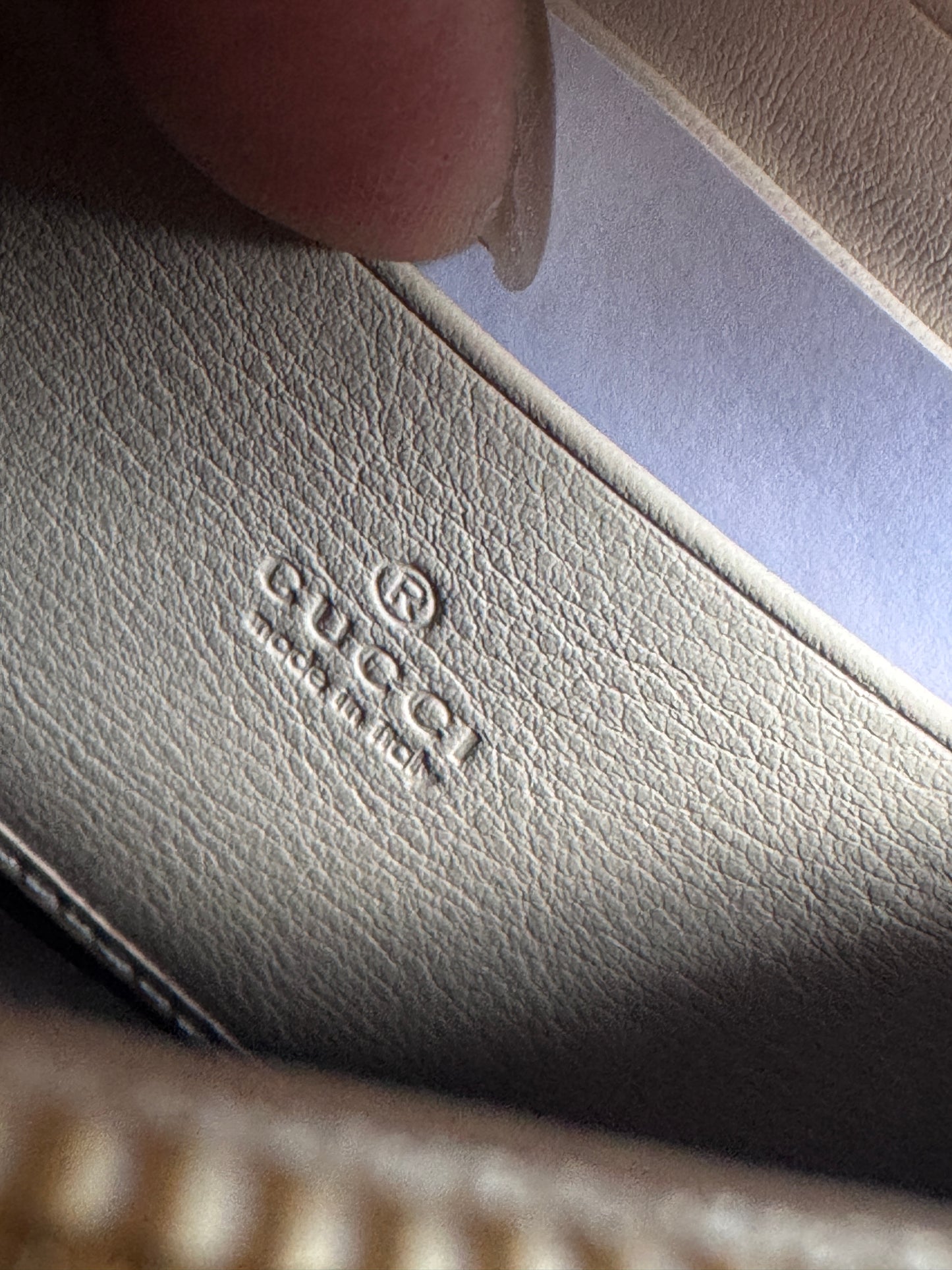 Gucci Blondie Wallet on Chain
