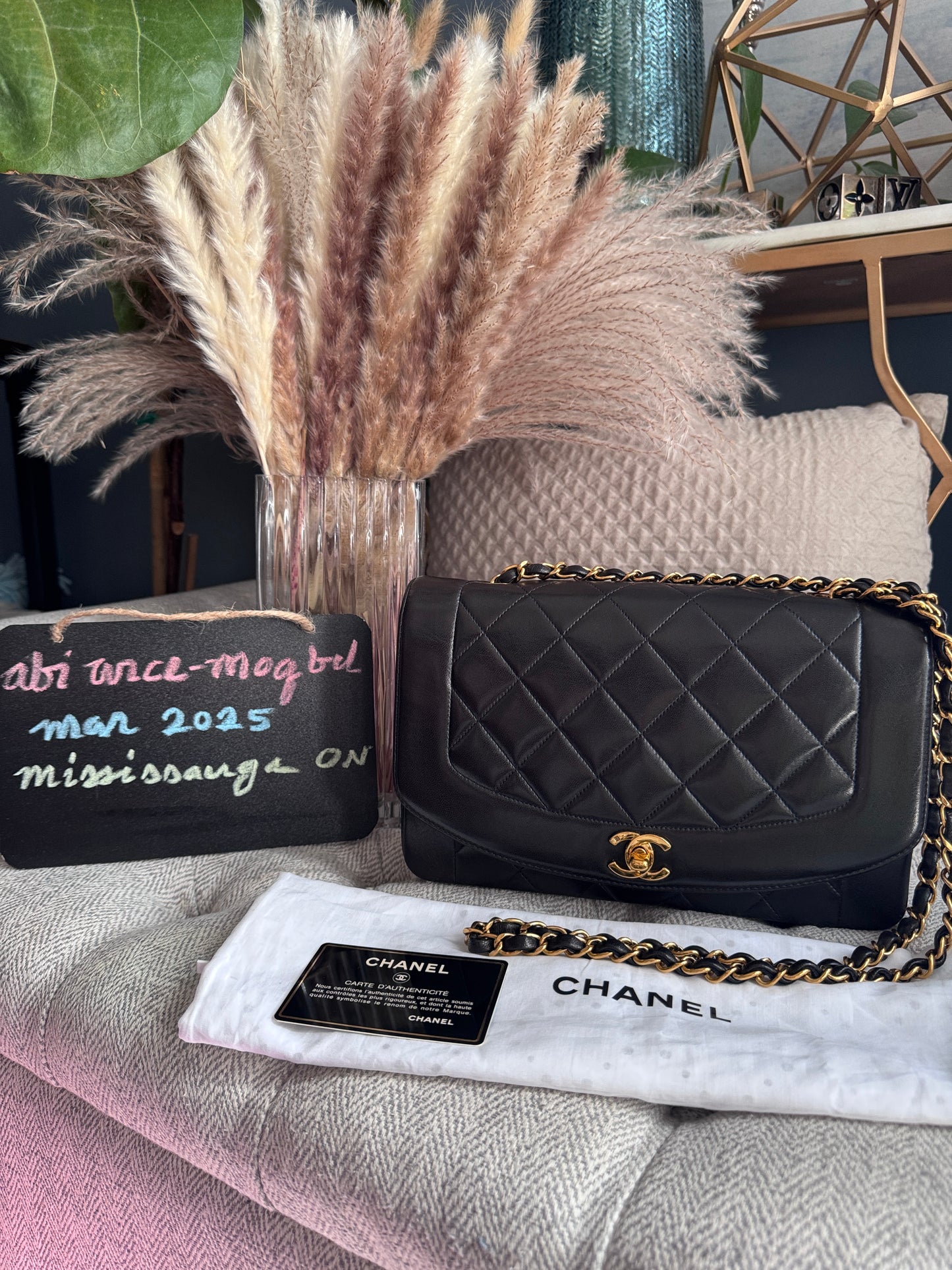 Chanel Vintage Medium Diana