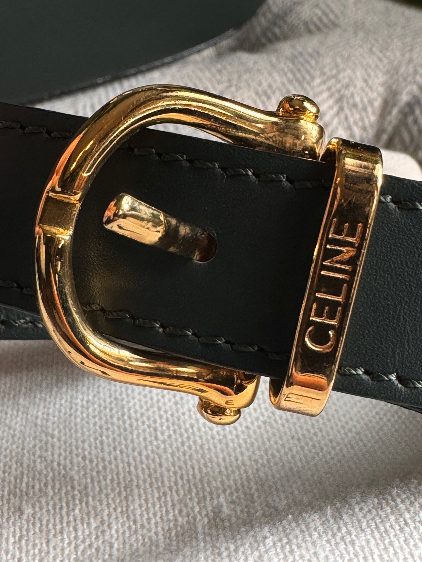 Celine Vintage Camera Bag in Amazone