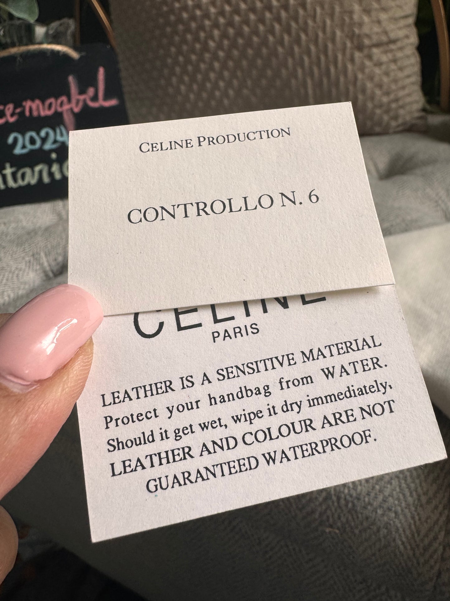 Celine Vintage Camera Bag in Amazone
