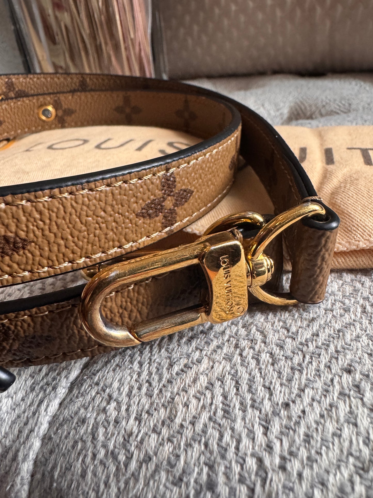 Louis Vuitton Pochette Metis in Reverse Monogram