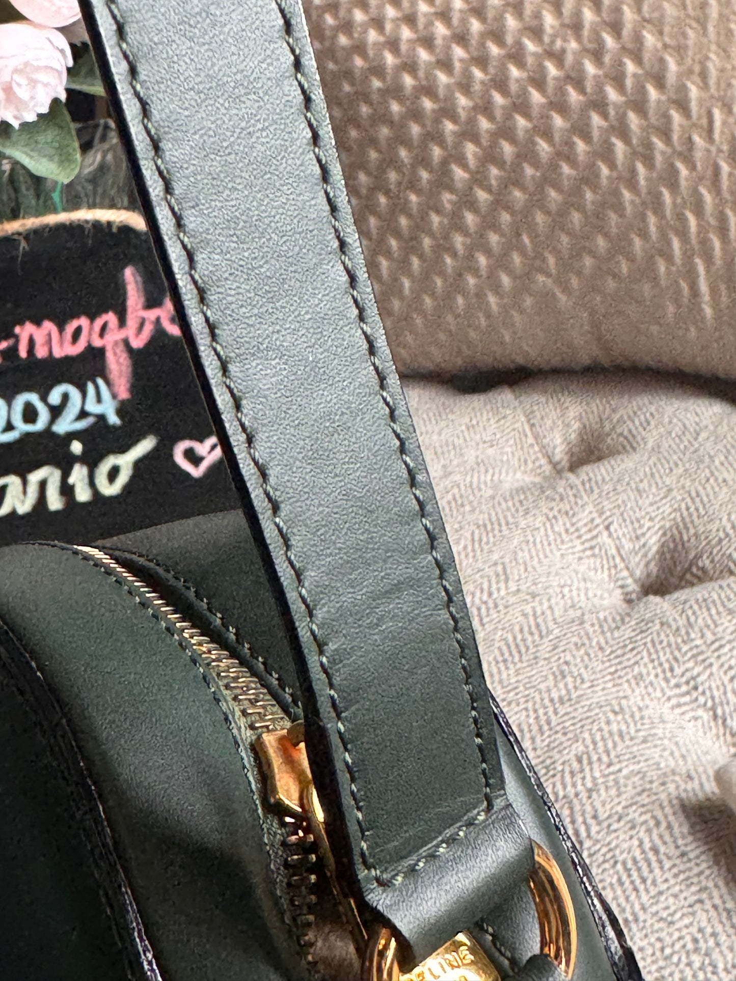 Celine Vintage Camera Bag in Amazone