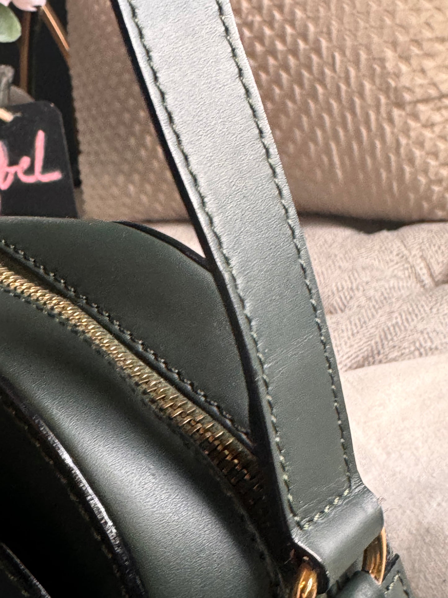 Celine Vintage Camera Bag in Amazone