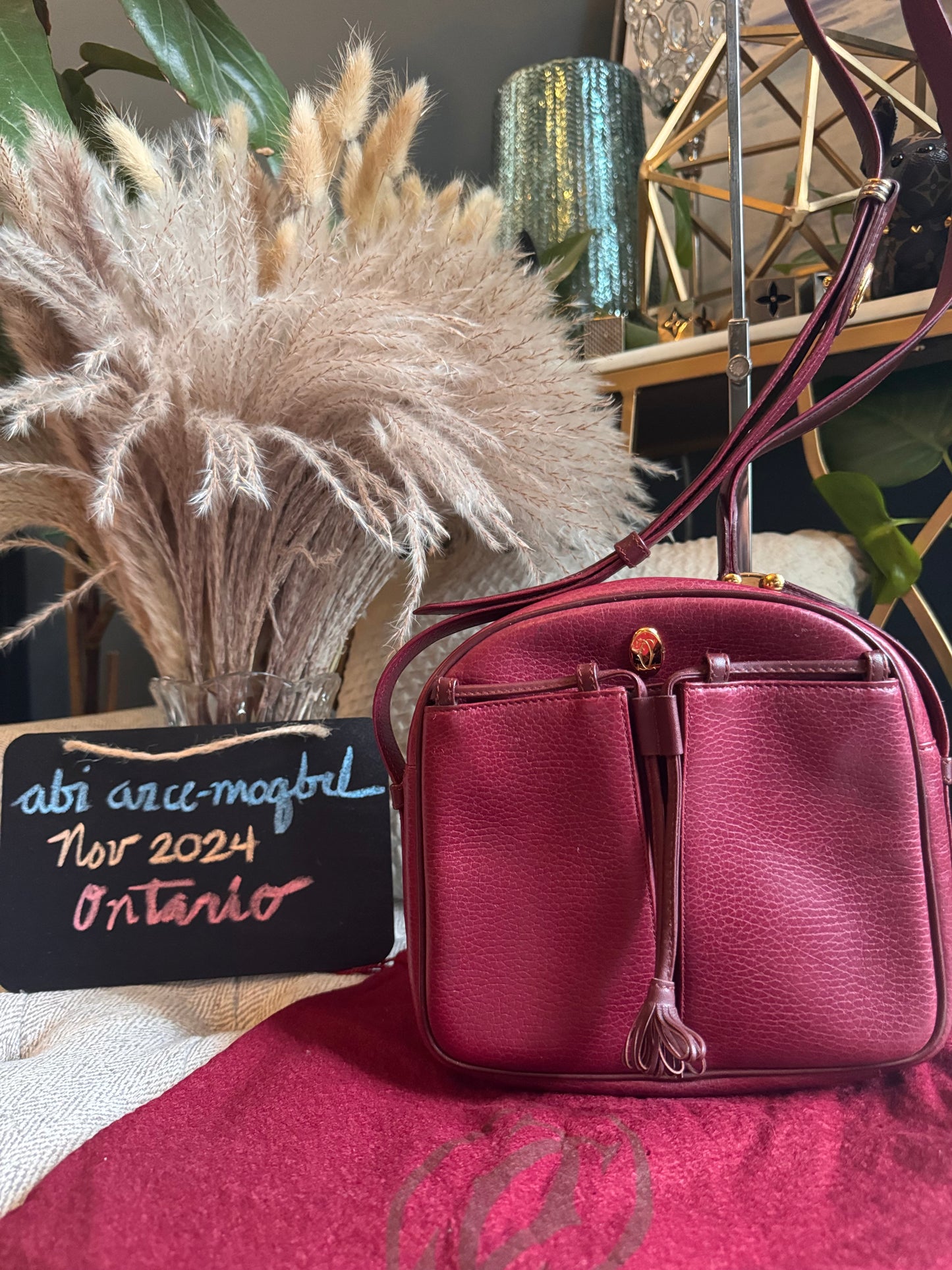 Cartier Vintage Camera Bag