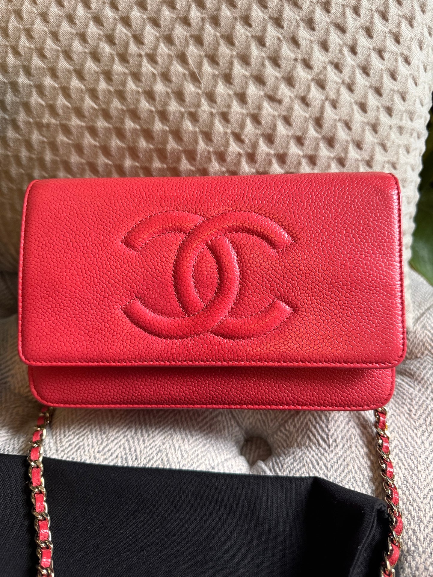 Chanel WOC Caviar in GOLD Hardware