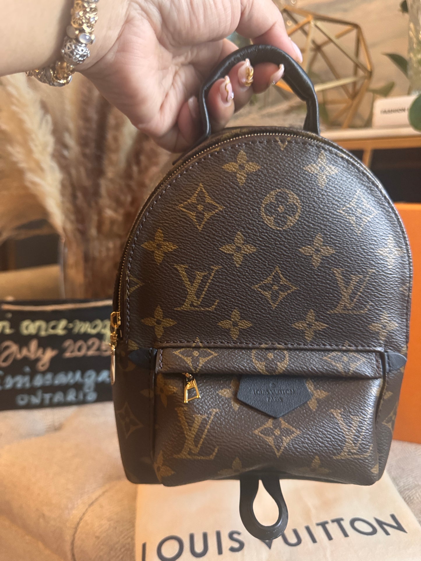 Louis Vuitton Mini Palm Springs-New Model with exposed zip Microchipped