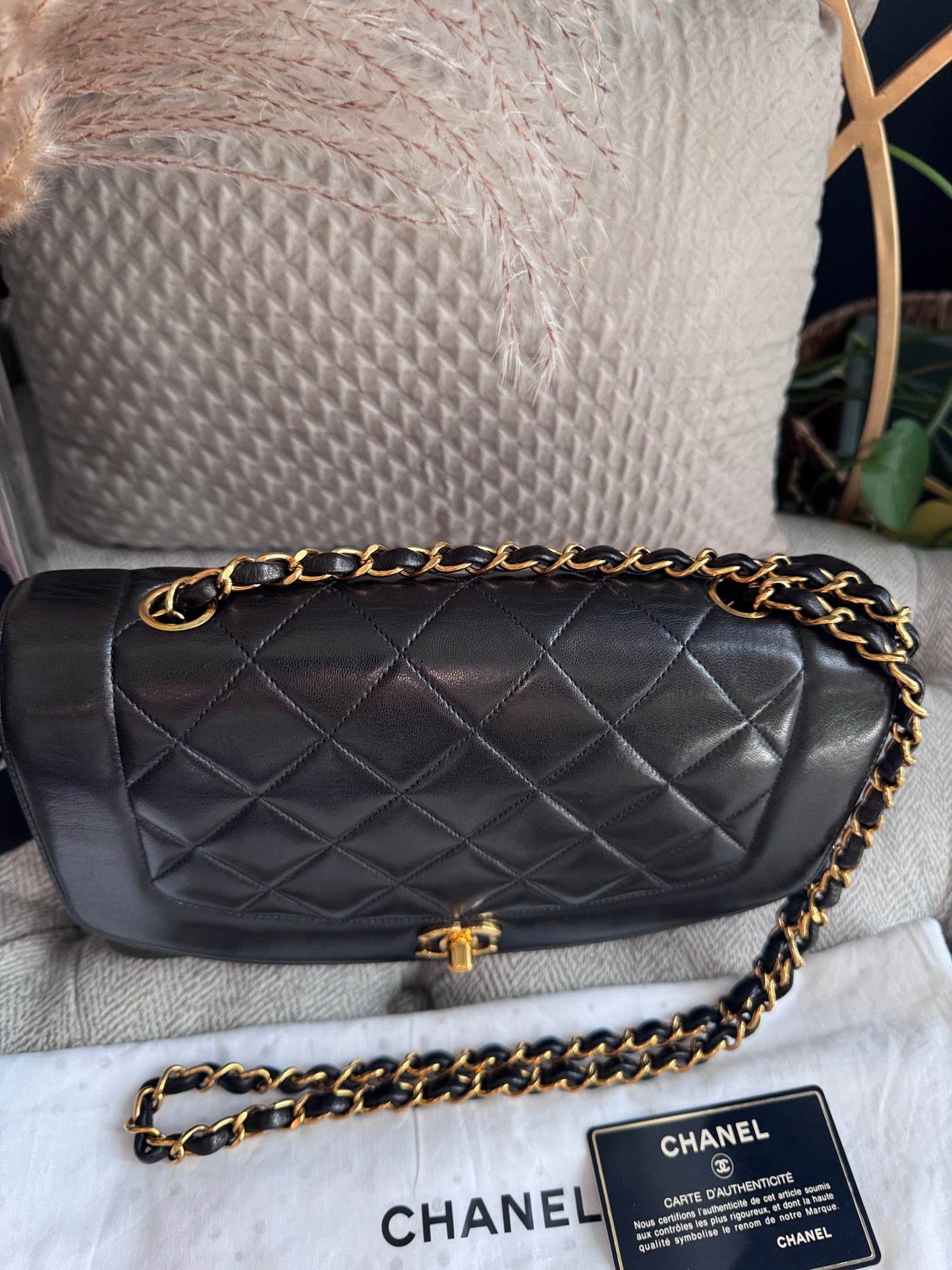 Chanel Vintage Medium Diana